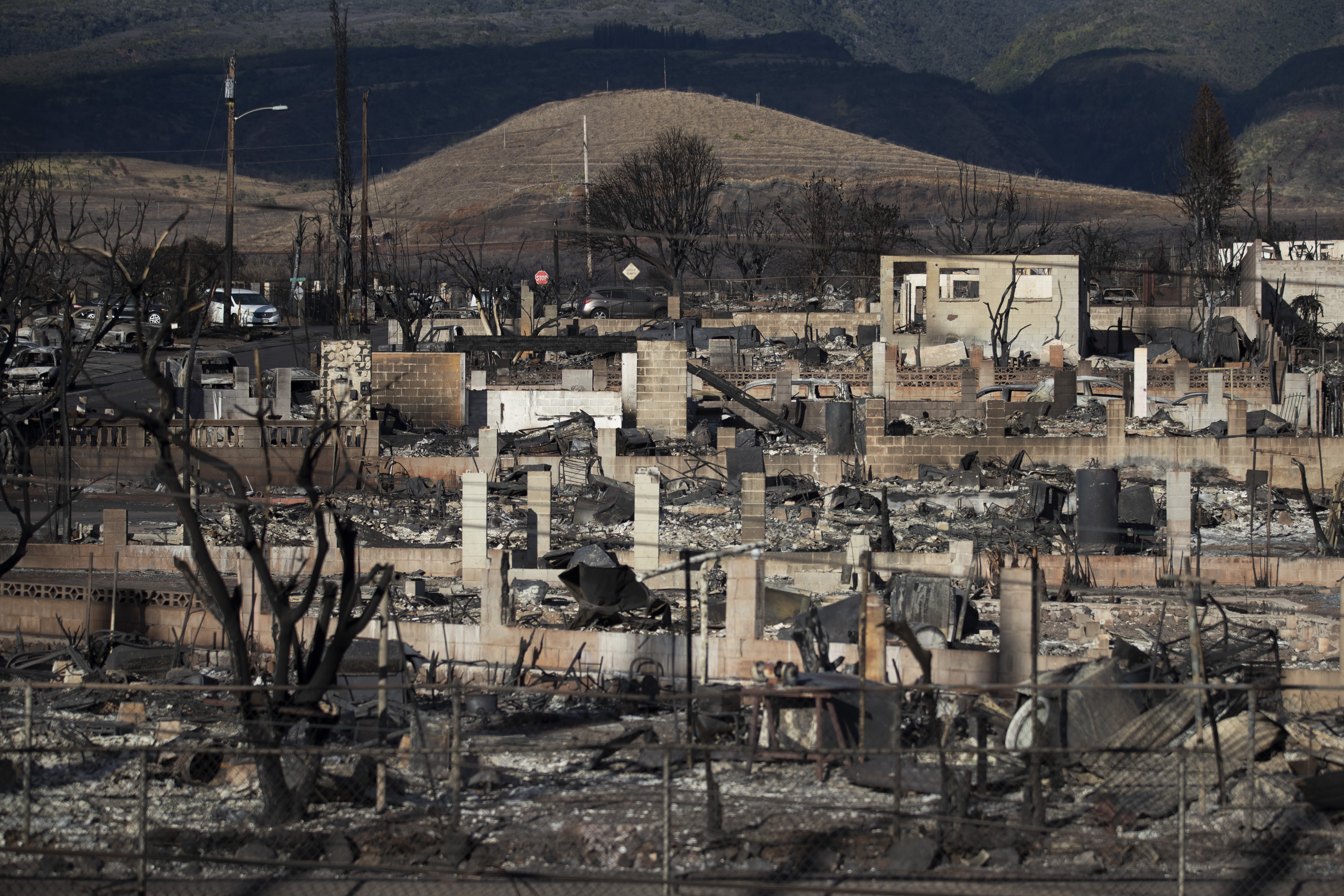 Maui's displaced residents grow restless as search for fire victims drags on