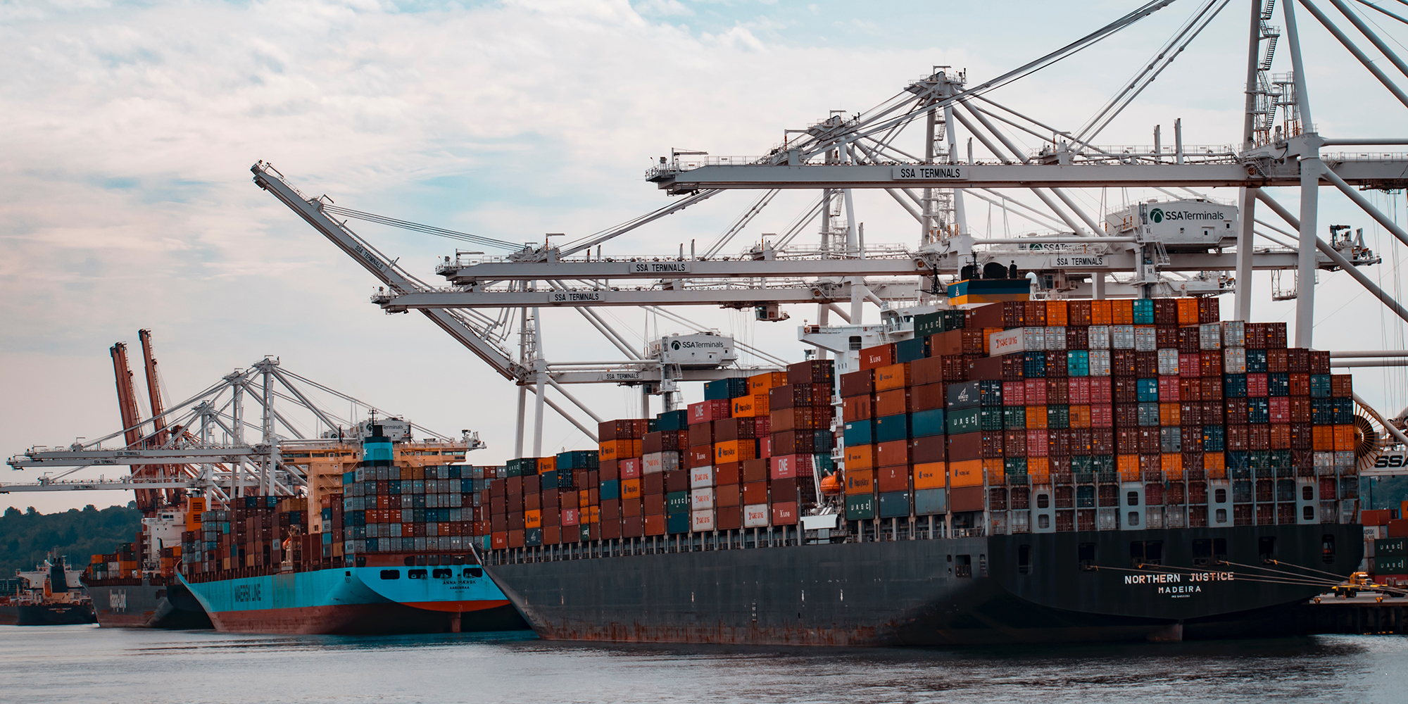 Government foot-dragging deprives the SA economy of billions, says global trade consultancy
