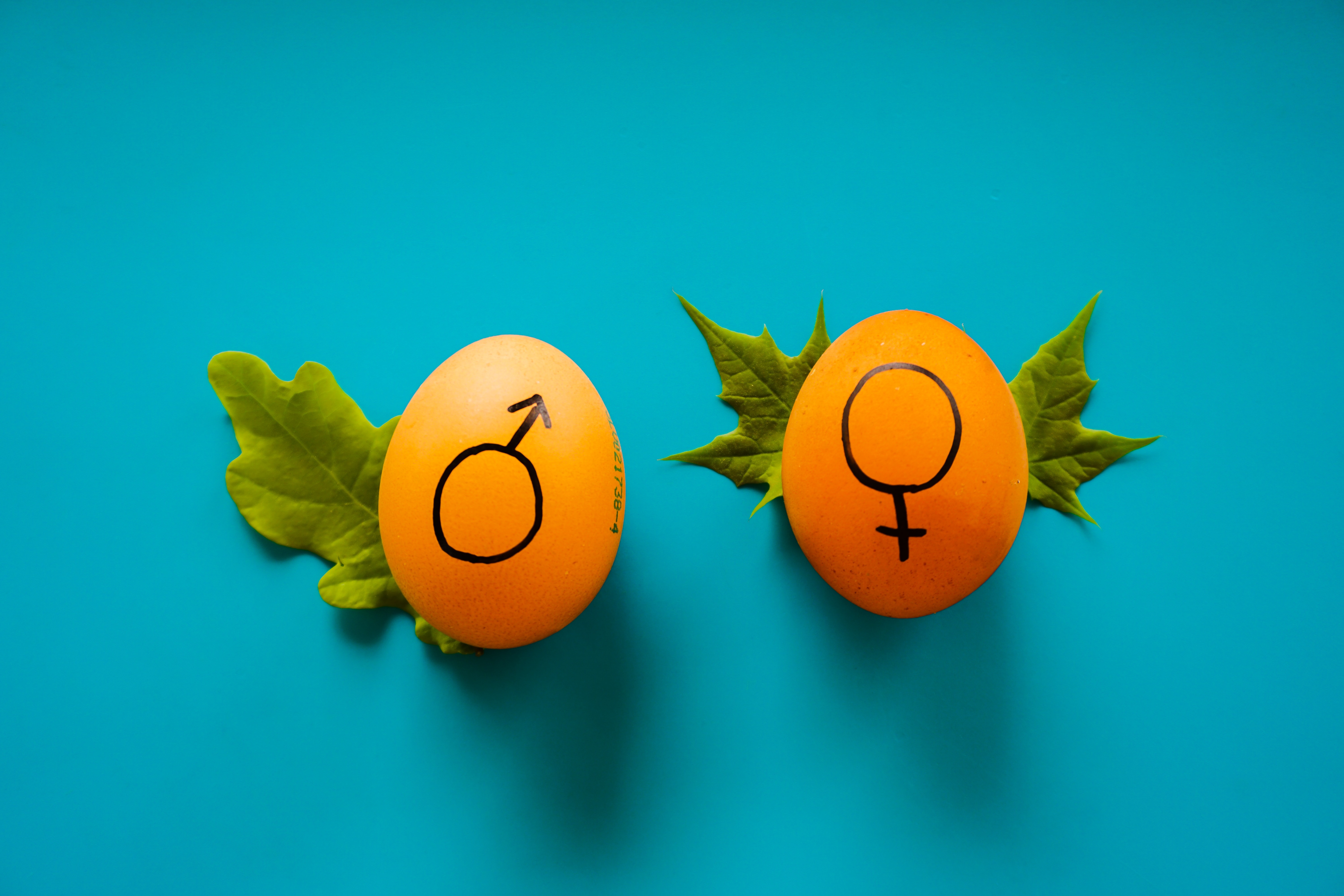 How biological differences between men and women alter immune responses – and affect women’s health
