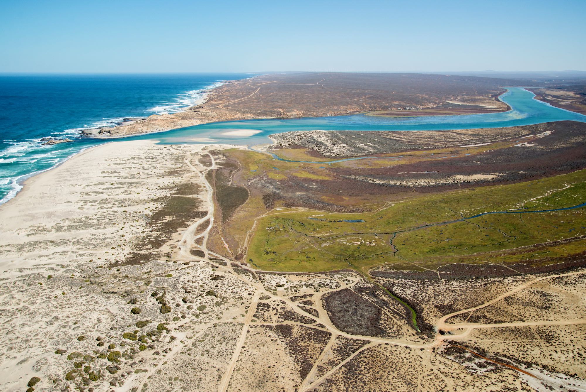 West Coast diamond mining — environmentalists hail 11th-hour out-of-court settlement protecting biodiversity