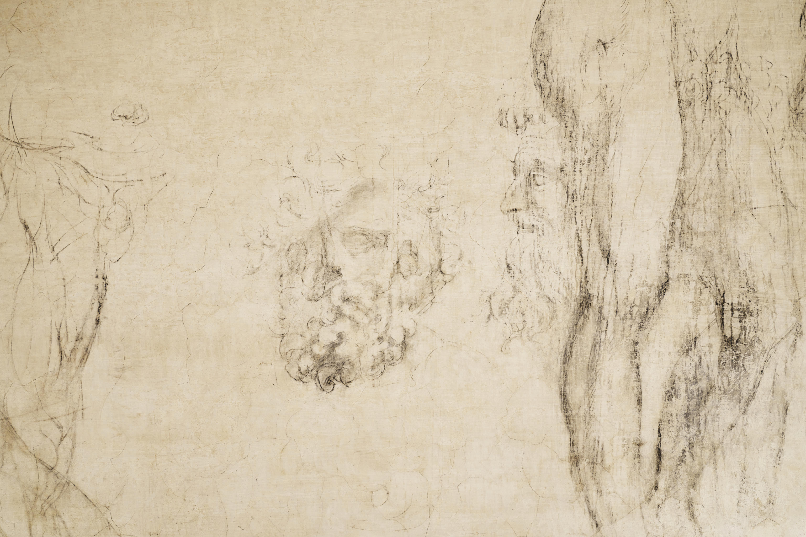 Michelangelo's secret room opens to the public, and more from around the world