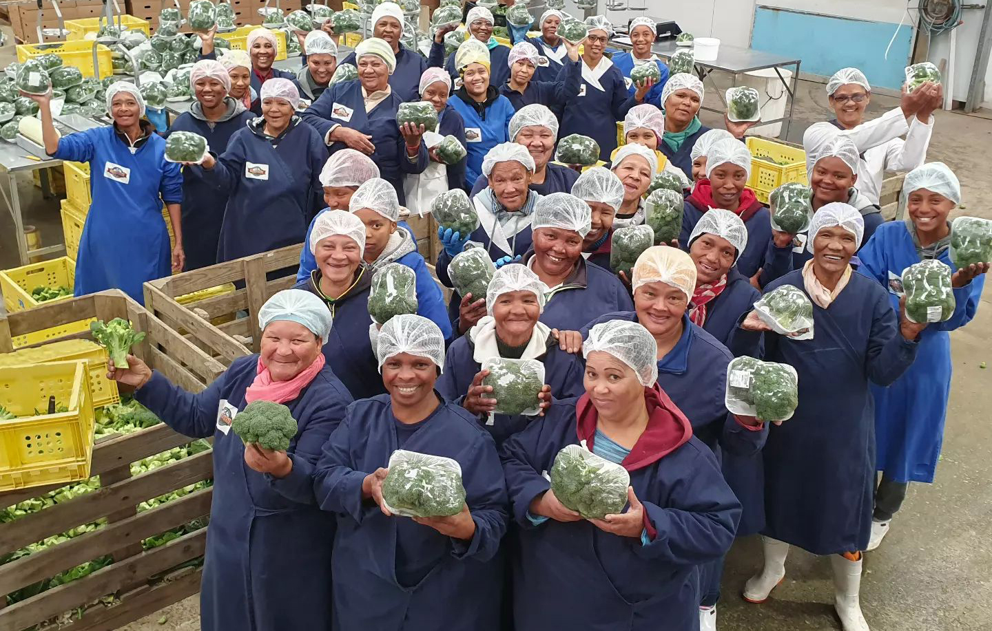 Free to Grow programme sees success through workplace violence-prevention education