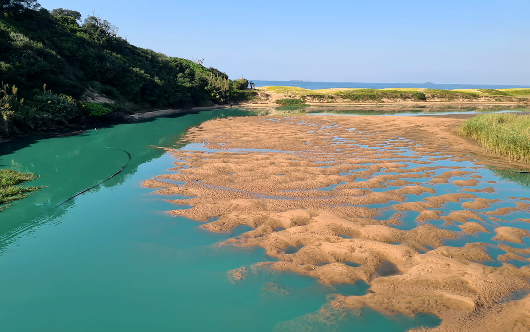Watchdogs call for criminal charges after UPL's contaminated water pours into Durban river – again