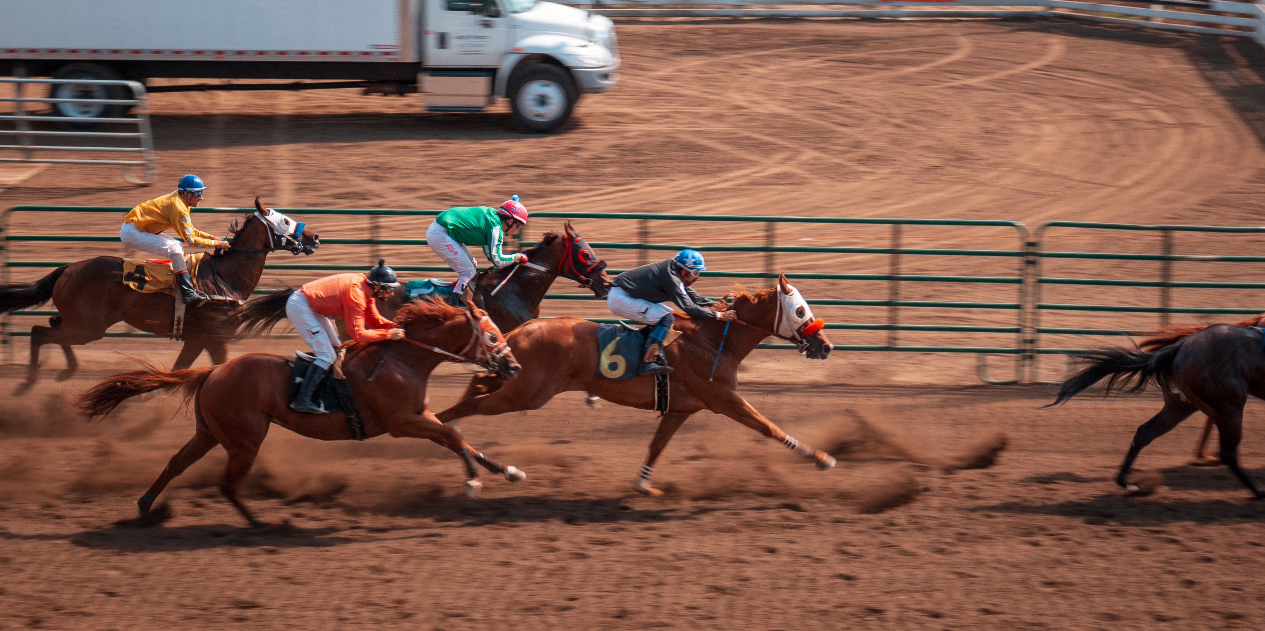 Do racehorses even know they’re ‘racing’ each other? It’s unlikely