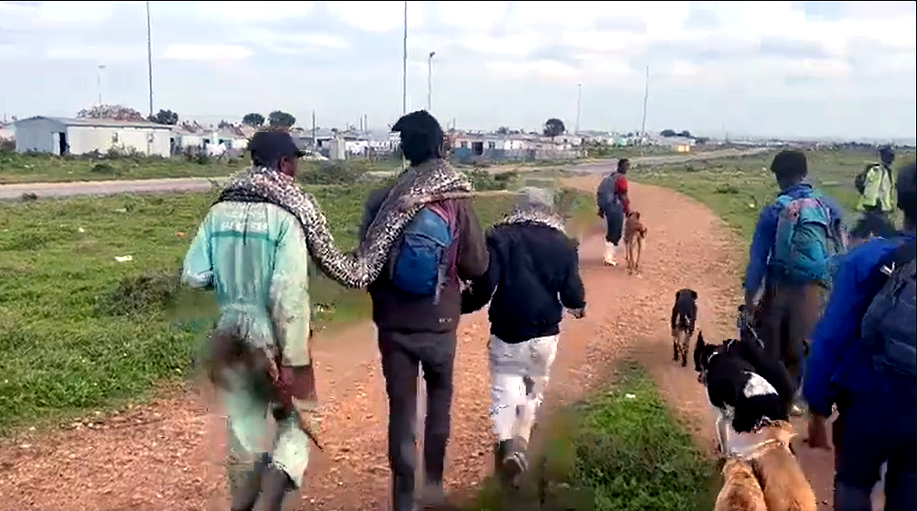 Does a rock python declared extinct a century ago still live in the hills of Nelson Mandela Bay?