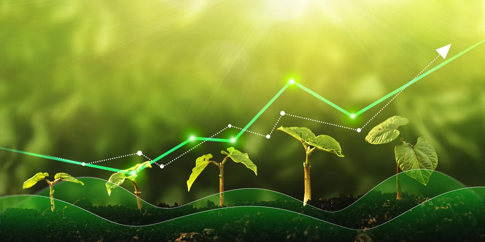 Global North’s green protectionism to hit Africa, Global South hard and must be rejected 