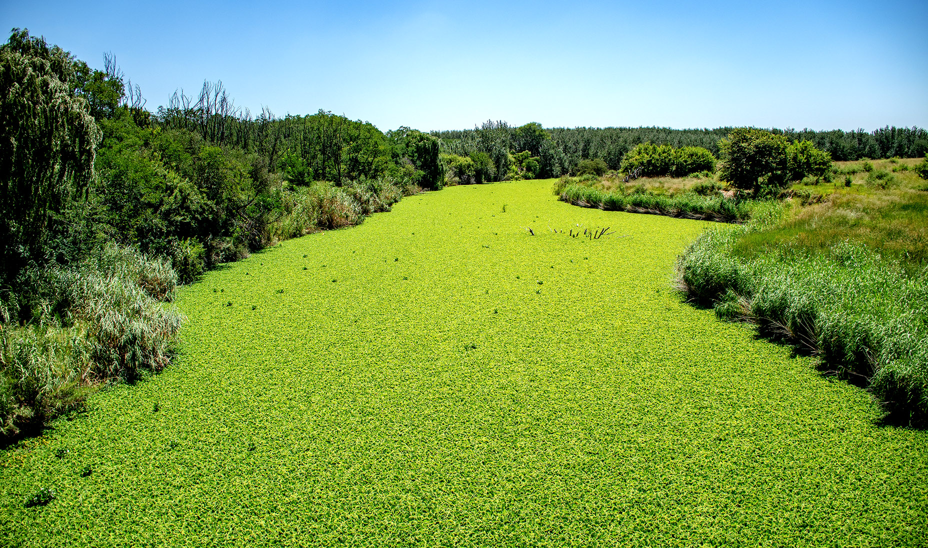 SA faces serious human health risks if we continue discharging toxic sewage into waterways