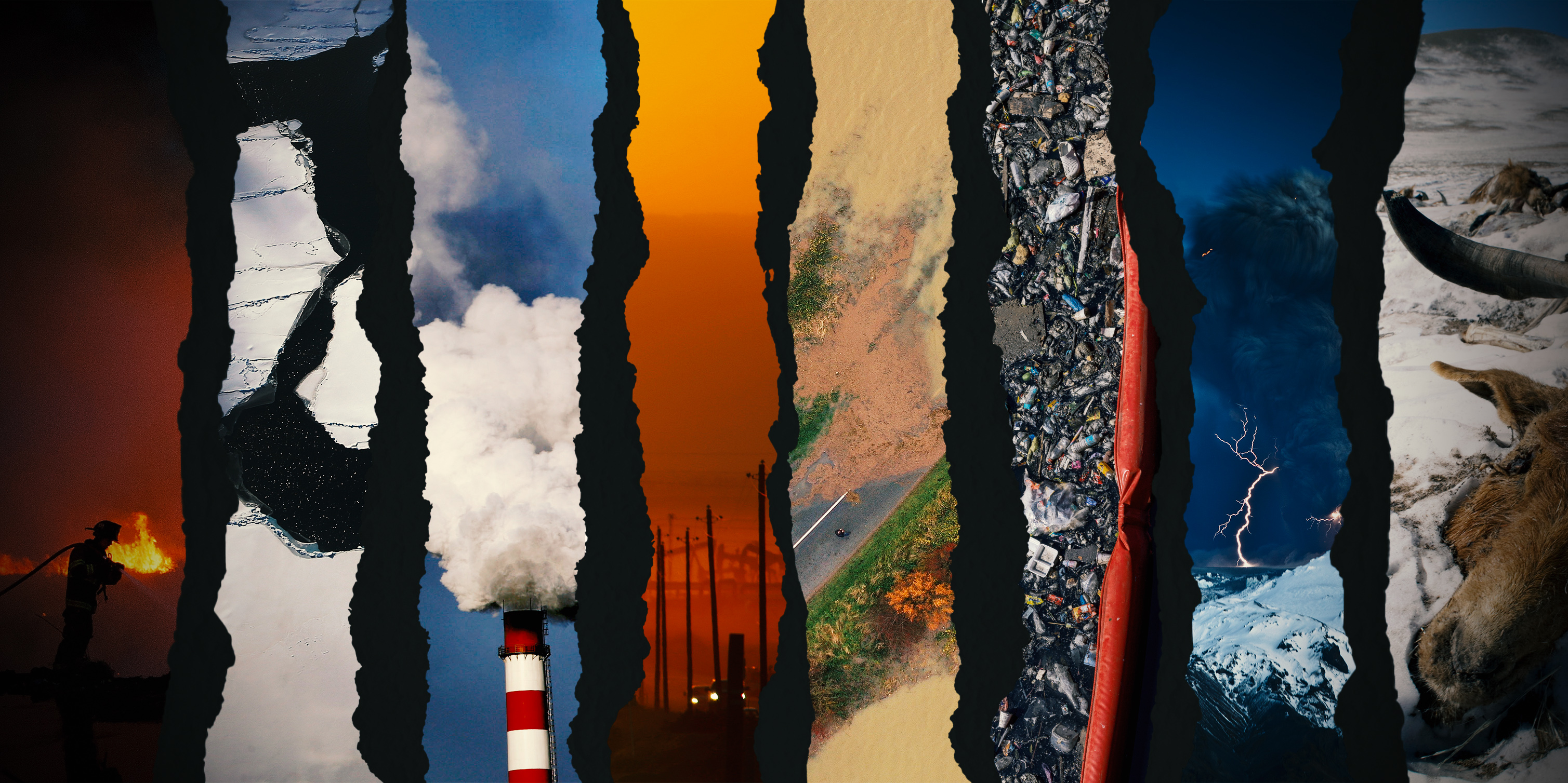 The state of the planet visualised in data