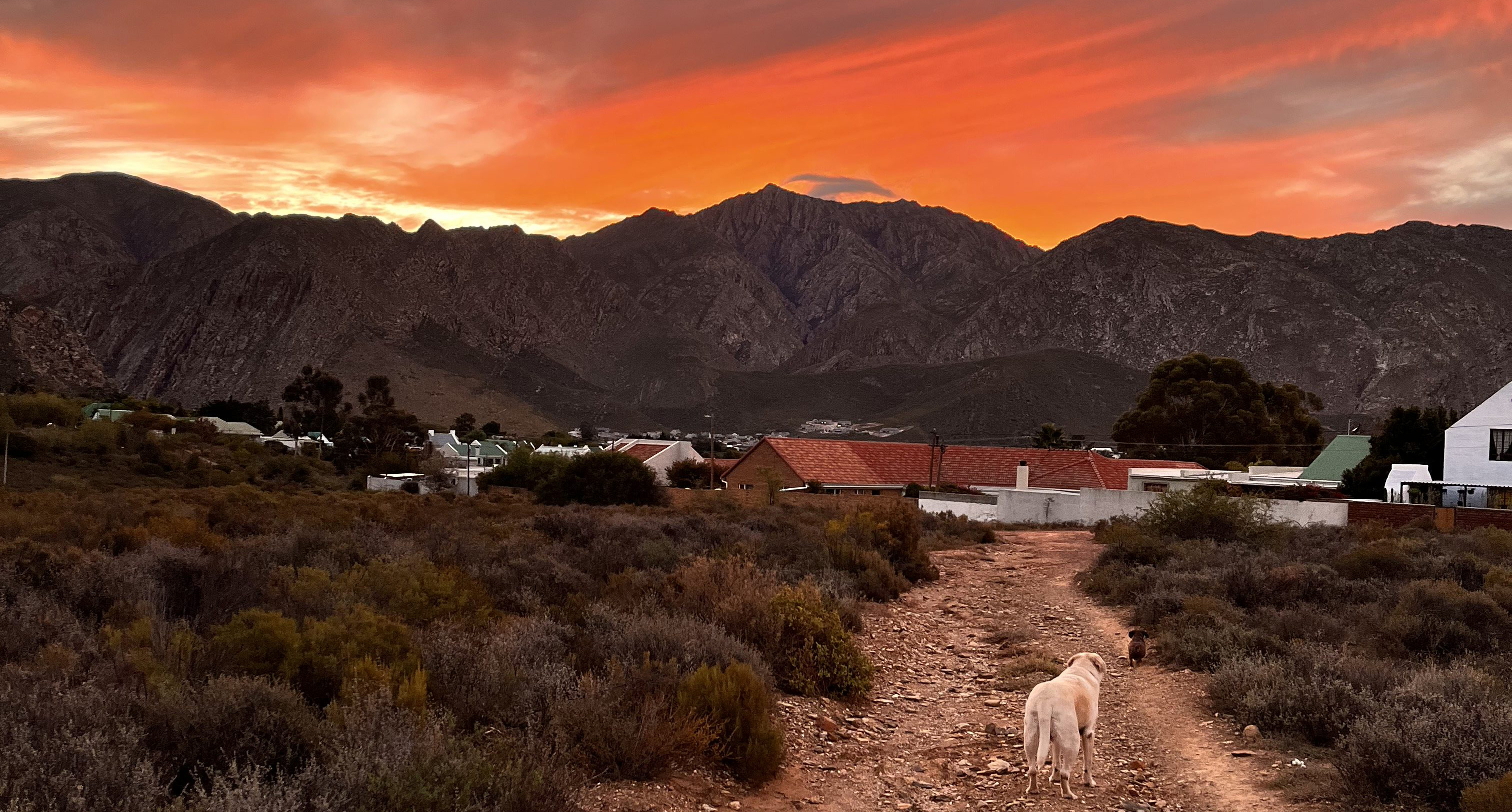 Behind beauty of Montagu lies the ugliness of gender-based violence and police inertia