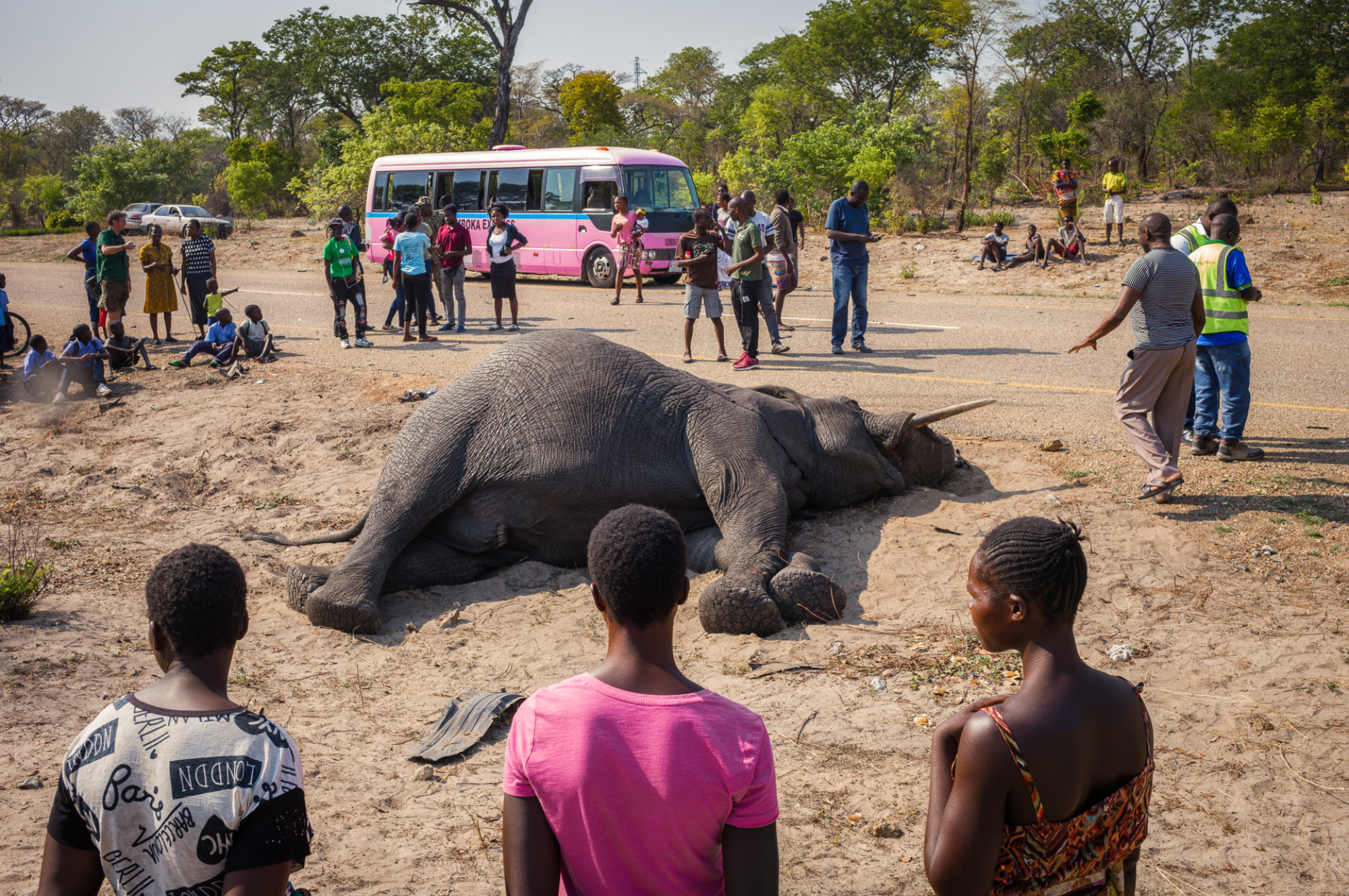 2024 Sony World Photography Awards: Landscape, wildlife and nature photography