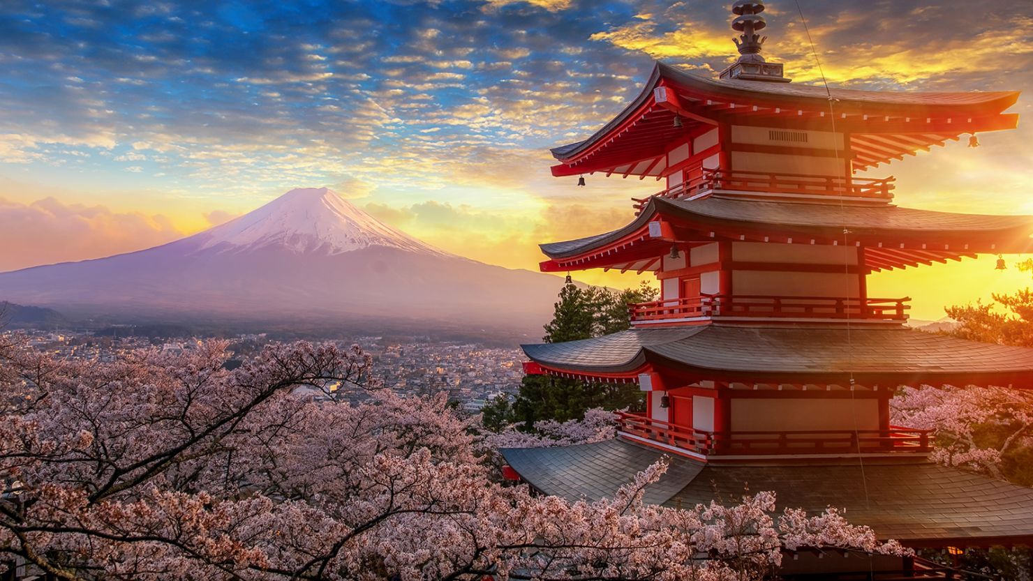 Following the Samurai