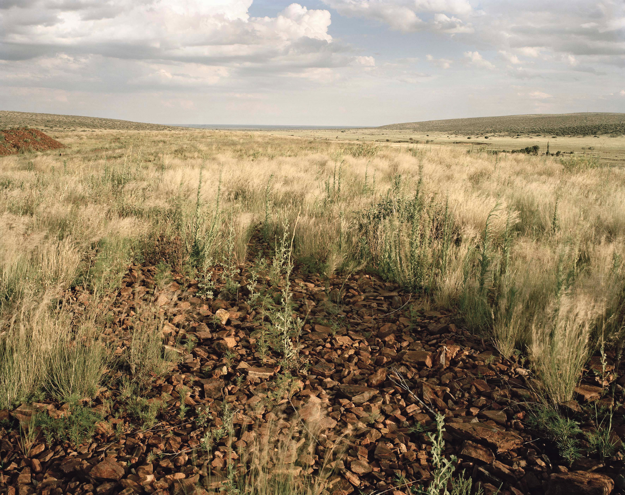 First posthumous monograph on David Goldblatt shows photographer’s continued relevance