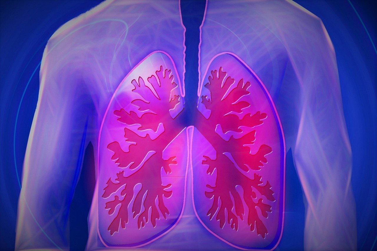 Critically understanding why TB is called the ‘disease of paper’ in Eastern Cape villages