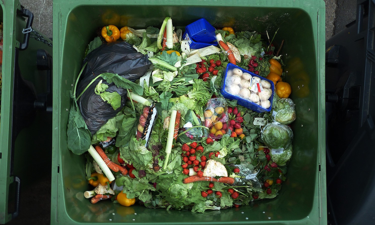 Effective ways to reduce food waste and boost nutrition security