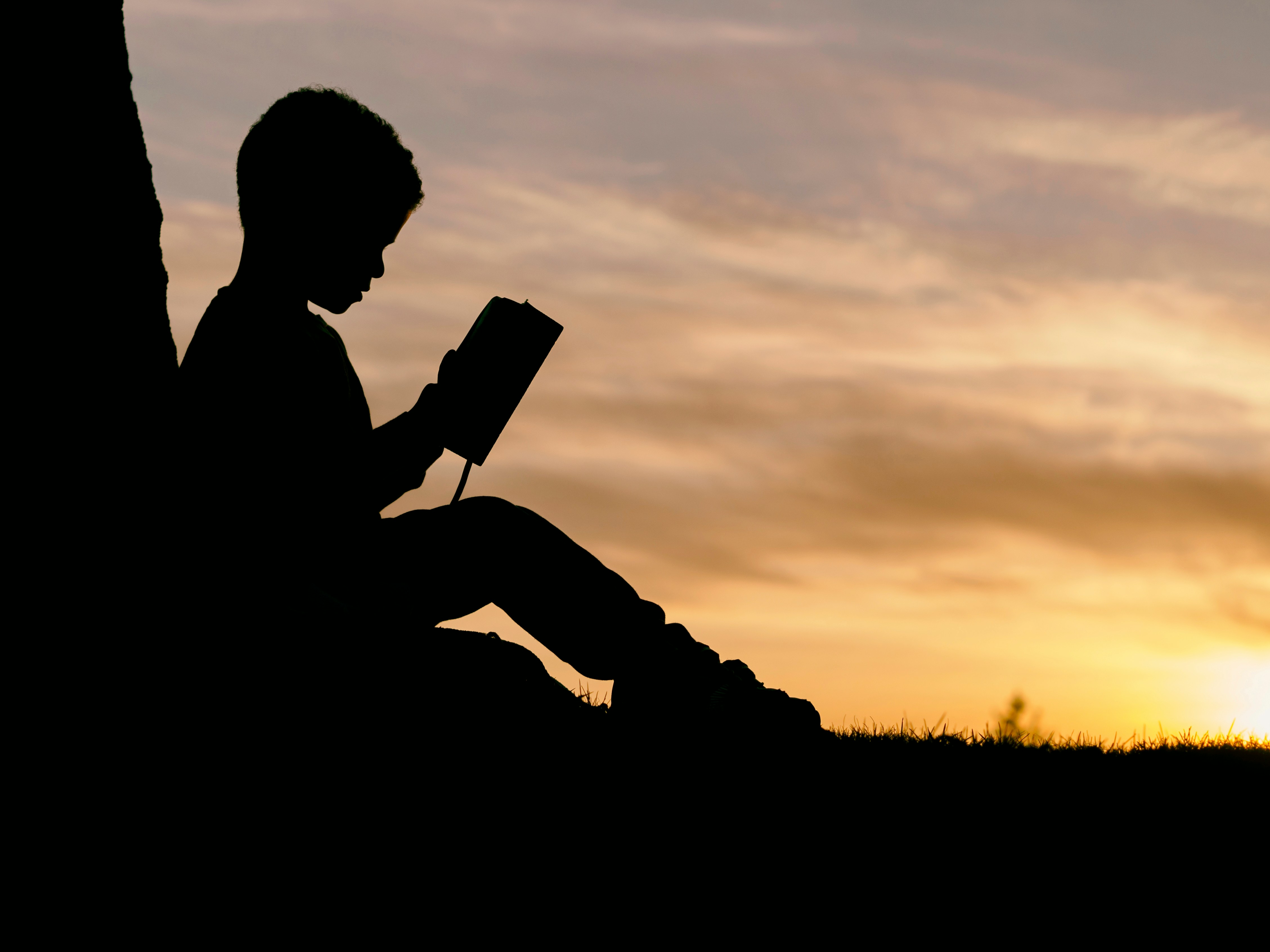 Have smartphones created an ‘anxious generation’? Jonathan Haidt sounds the alarm