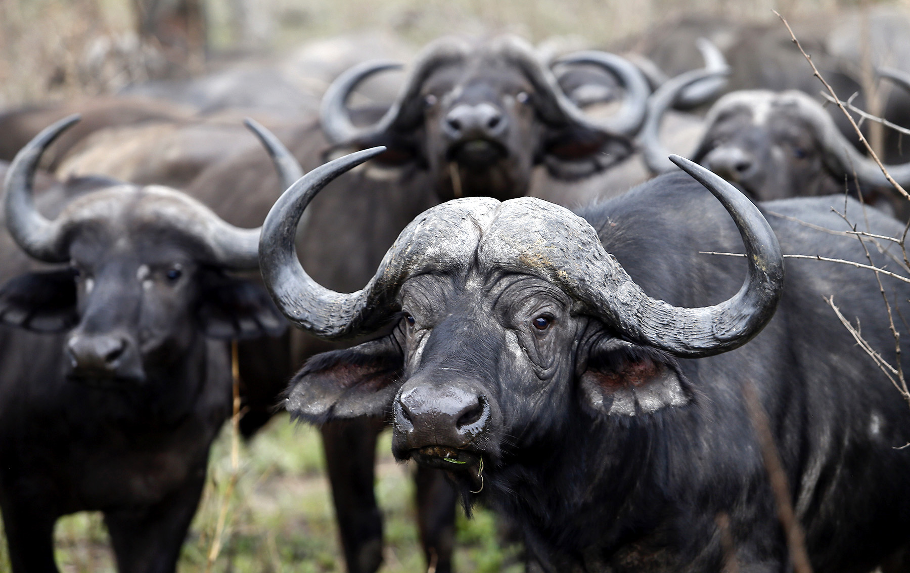 Africa must make its voice heard about nature conservation, says Vali Moosa