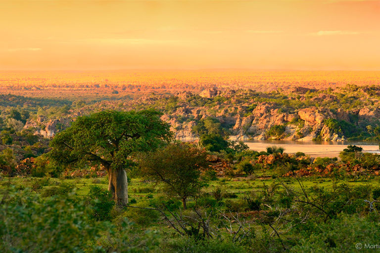 At a critical crossroads — Unpacking SA's new biodiversity strategy