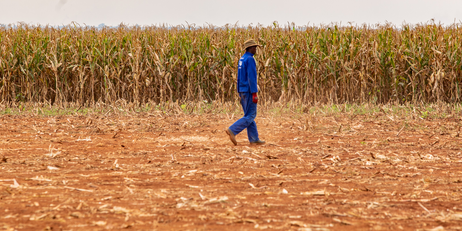 SA Weather Service extends dryer and warmer-than-usual forecast to November