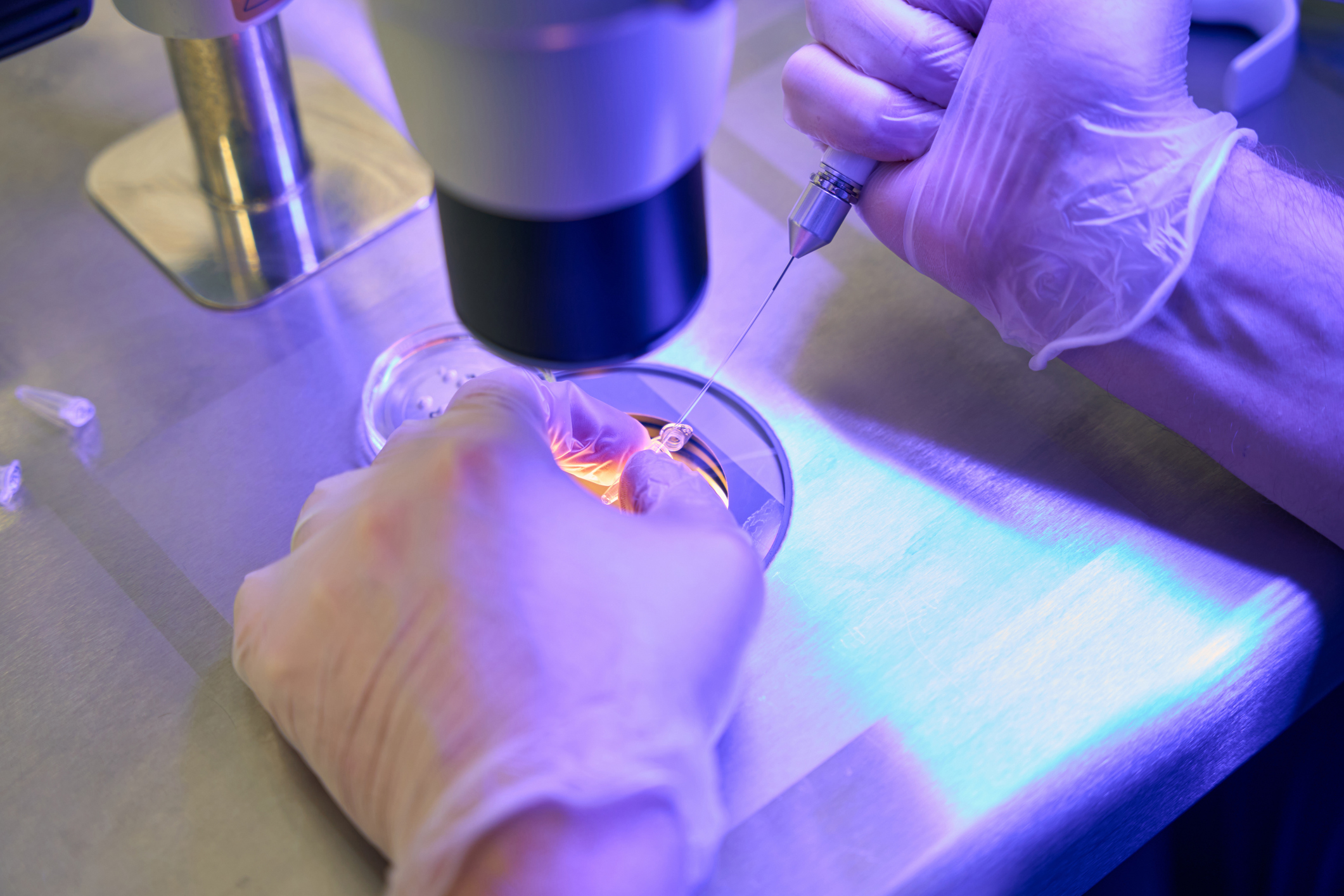 Pension Funds Adjudicator rules woman not entitled to sperm donor’s retirement benefit