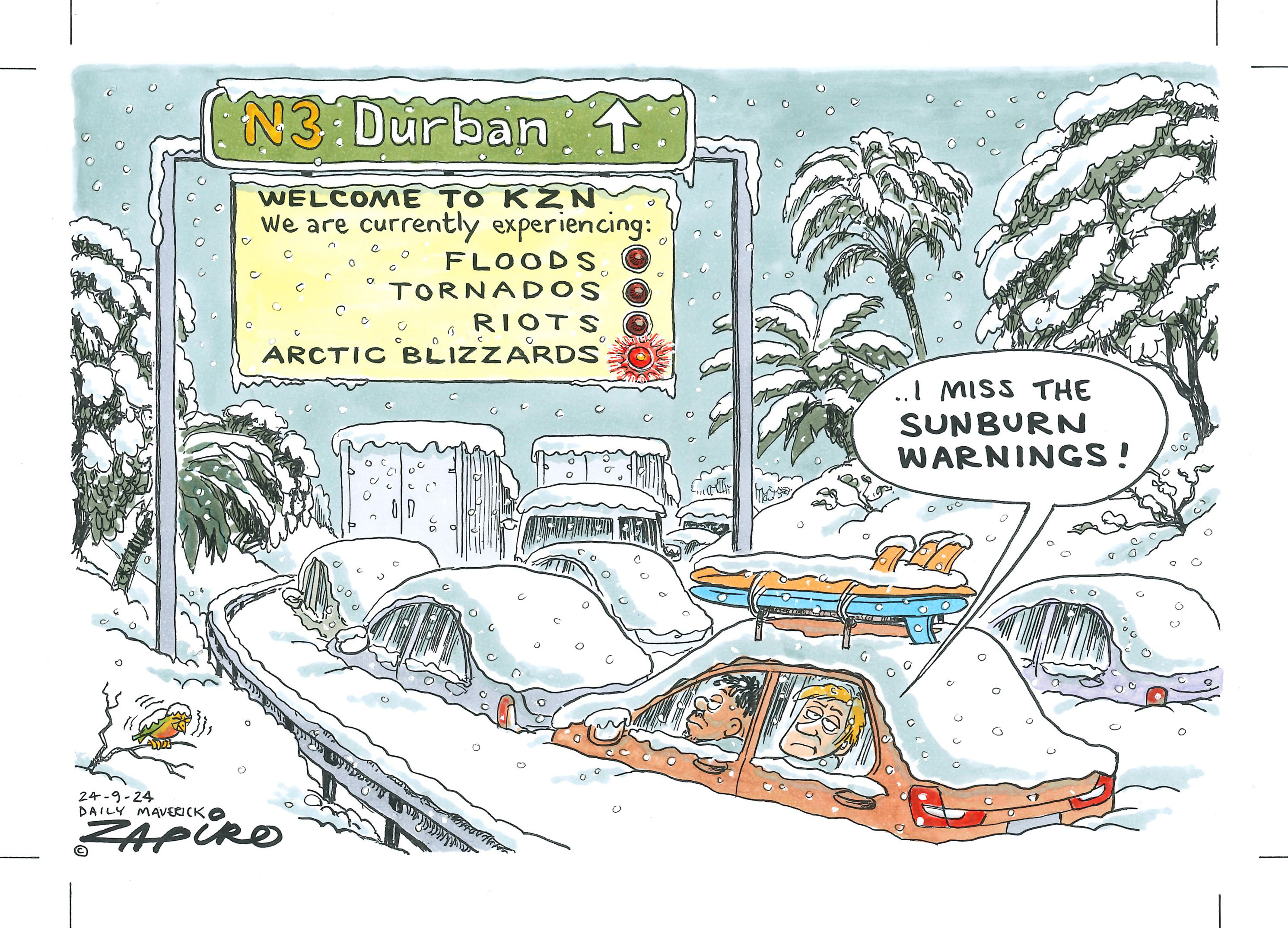 Welcome to KZN