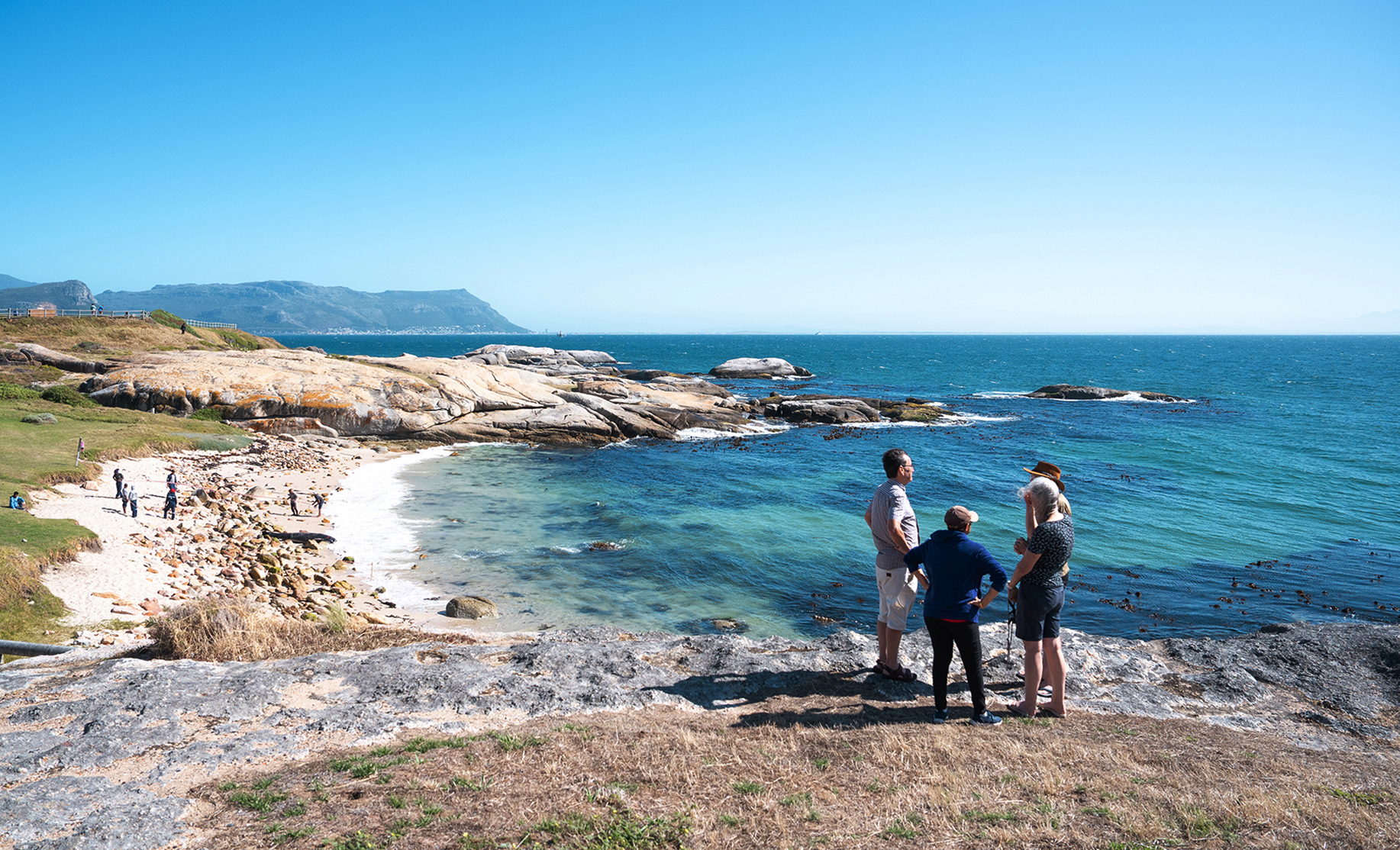 Inside the desperate battle to save a whale stranded near Simon’s Town