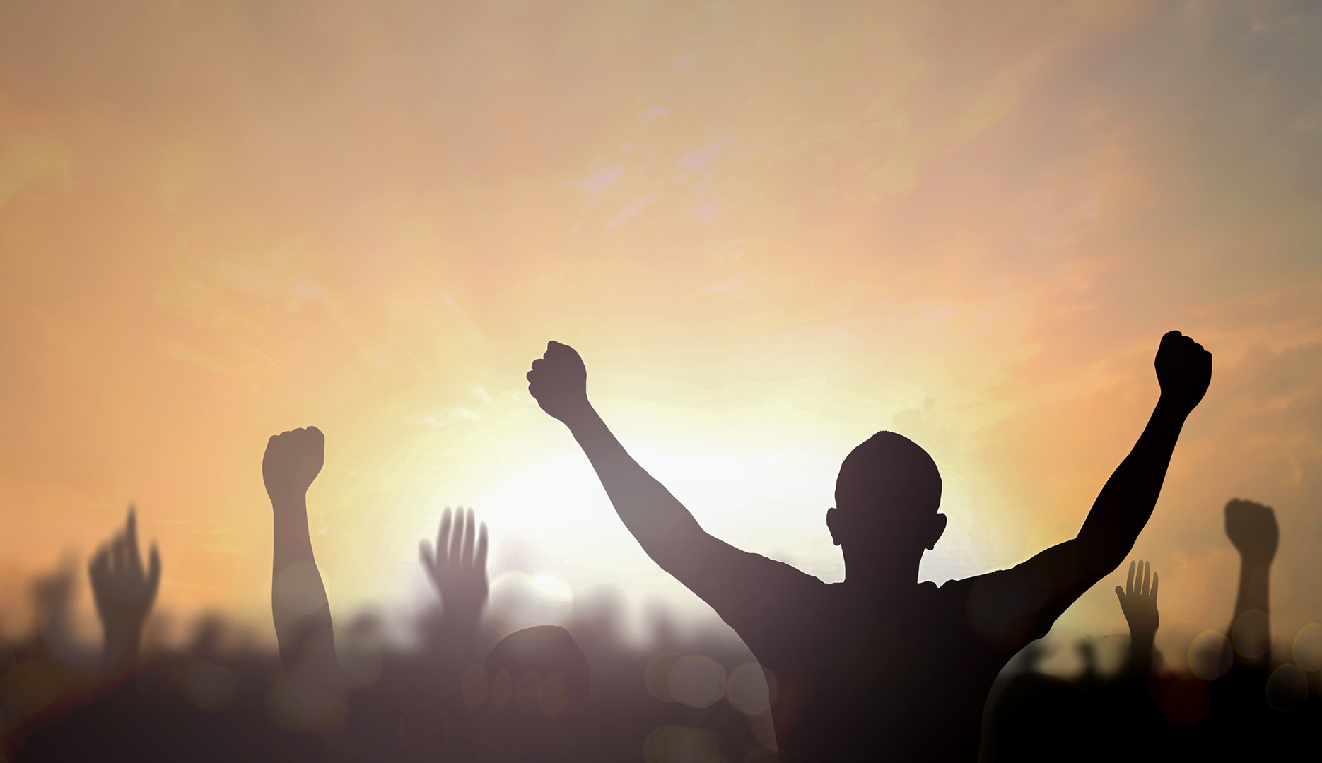 This week in civil society — International Anti-Corruption Day, International Human Rights Day and Anti-GBV Webinar
