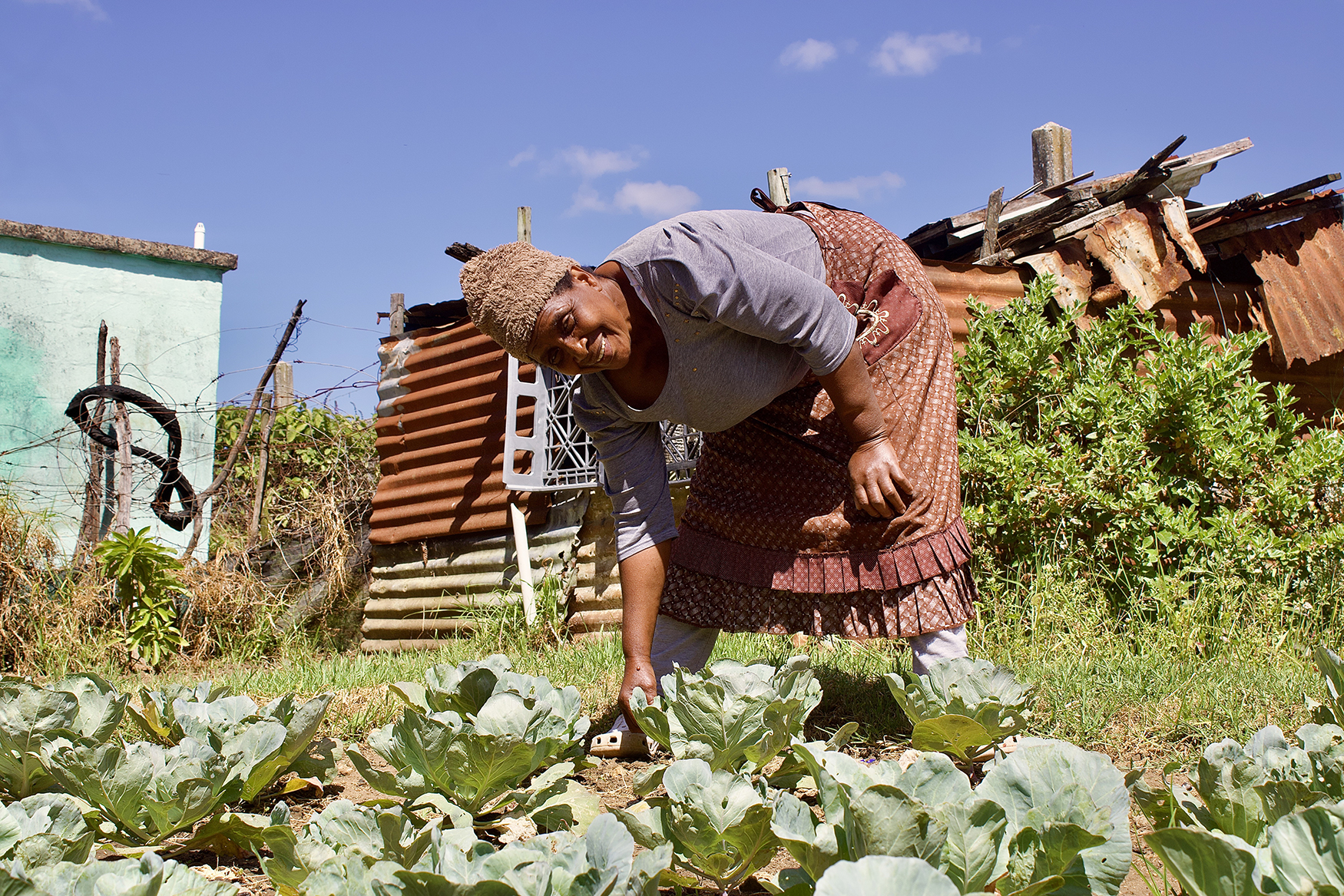 One artist sows the seed for Bathurst’s food security 