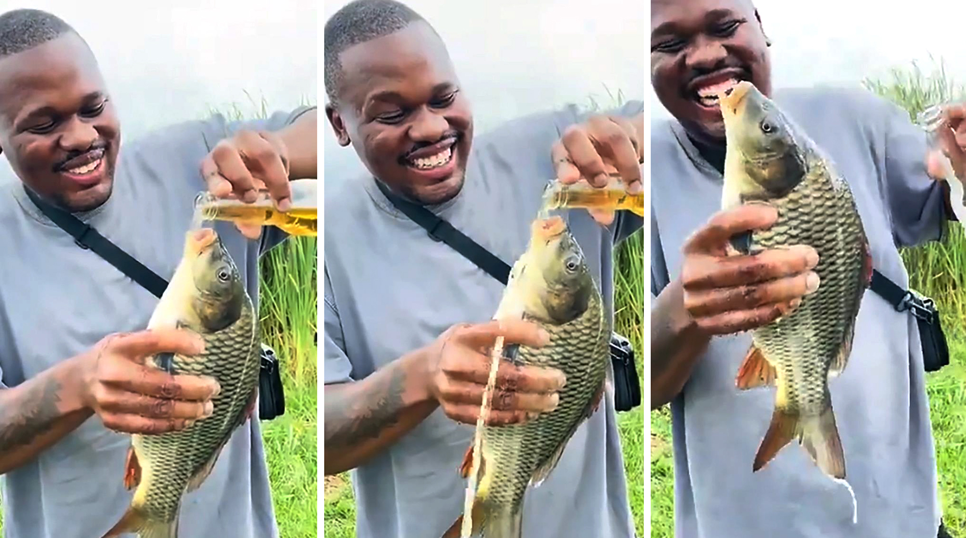 Restaurateur's TikTok stunt with beer-drinking fish lands him in hot water