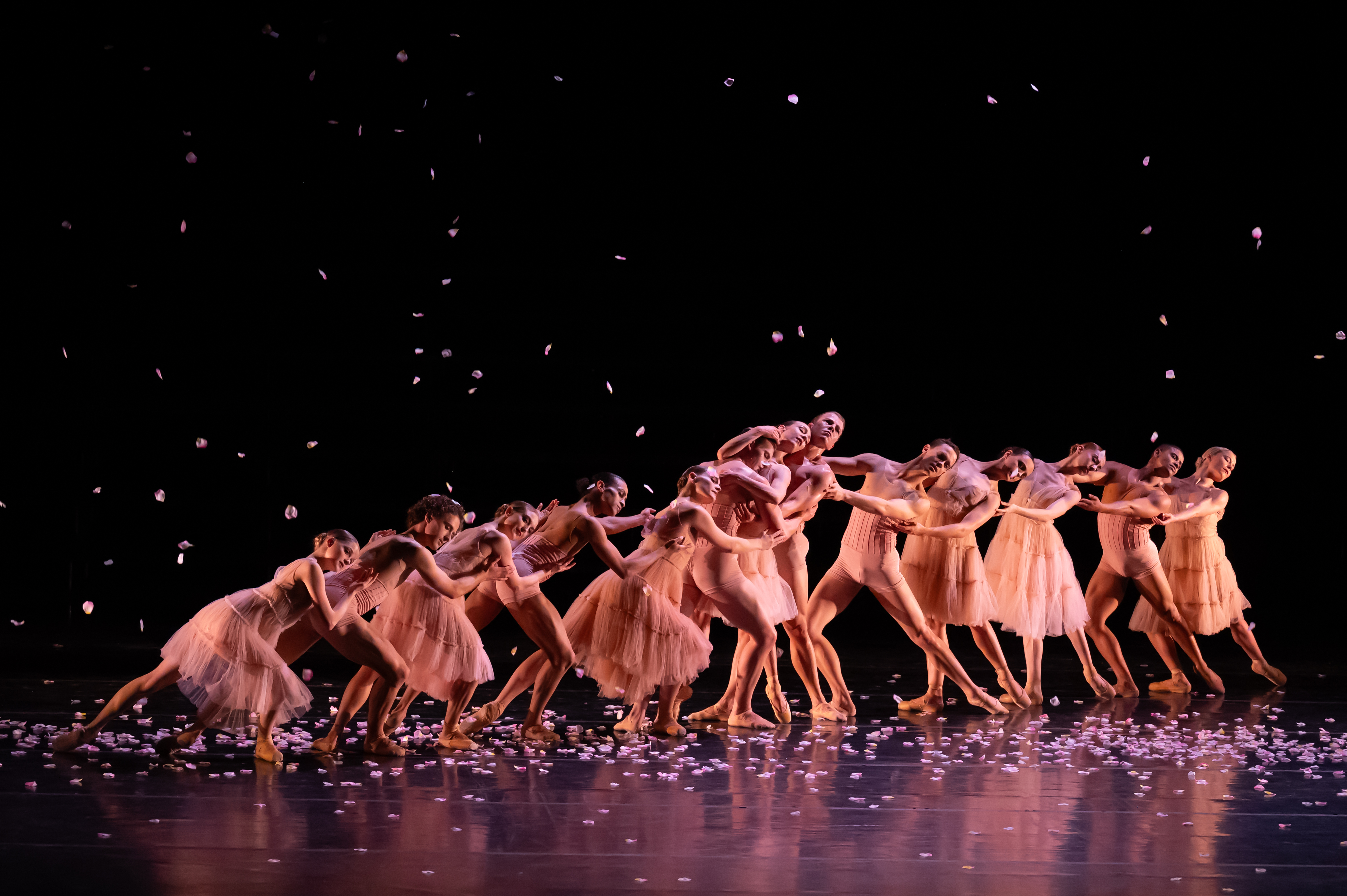 Cape Ballet Africa’s Breathwords: A transformative evening of dance that elevates the soul