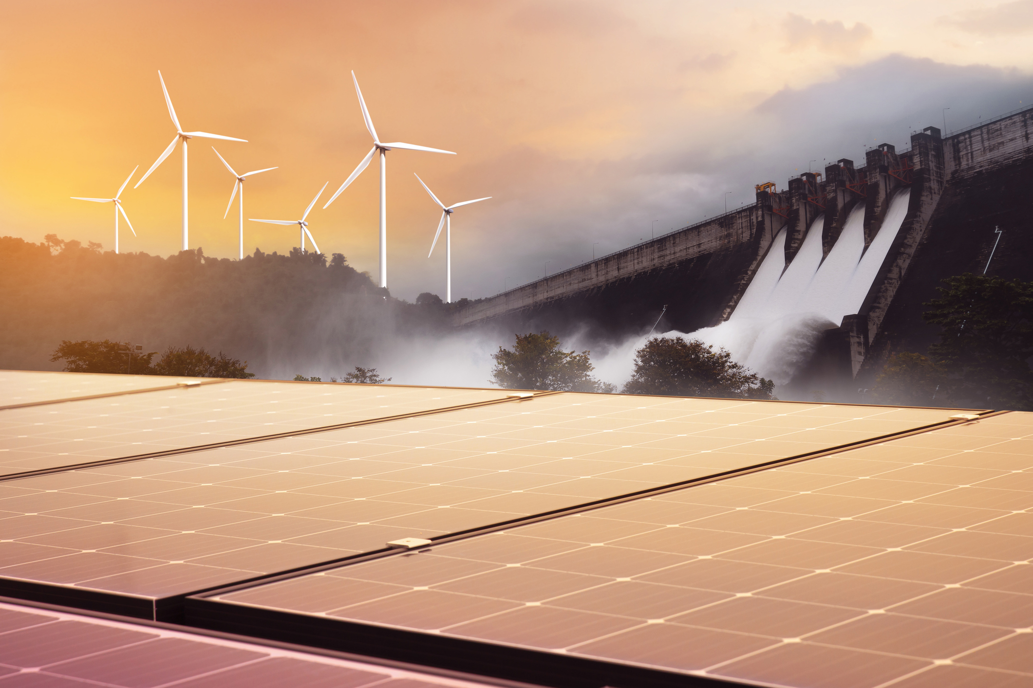 National Solar Water Heater Programme is ‘a total failure’ after squandering R325m, DMRE admits