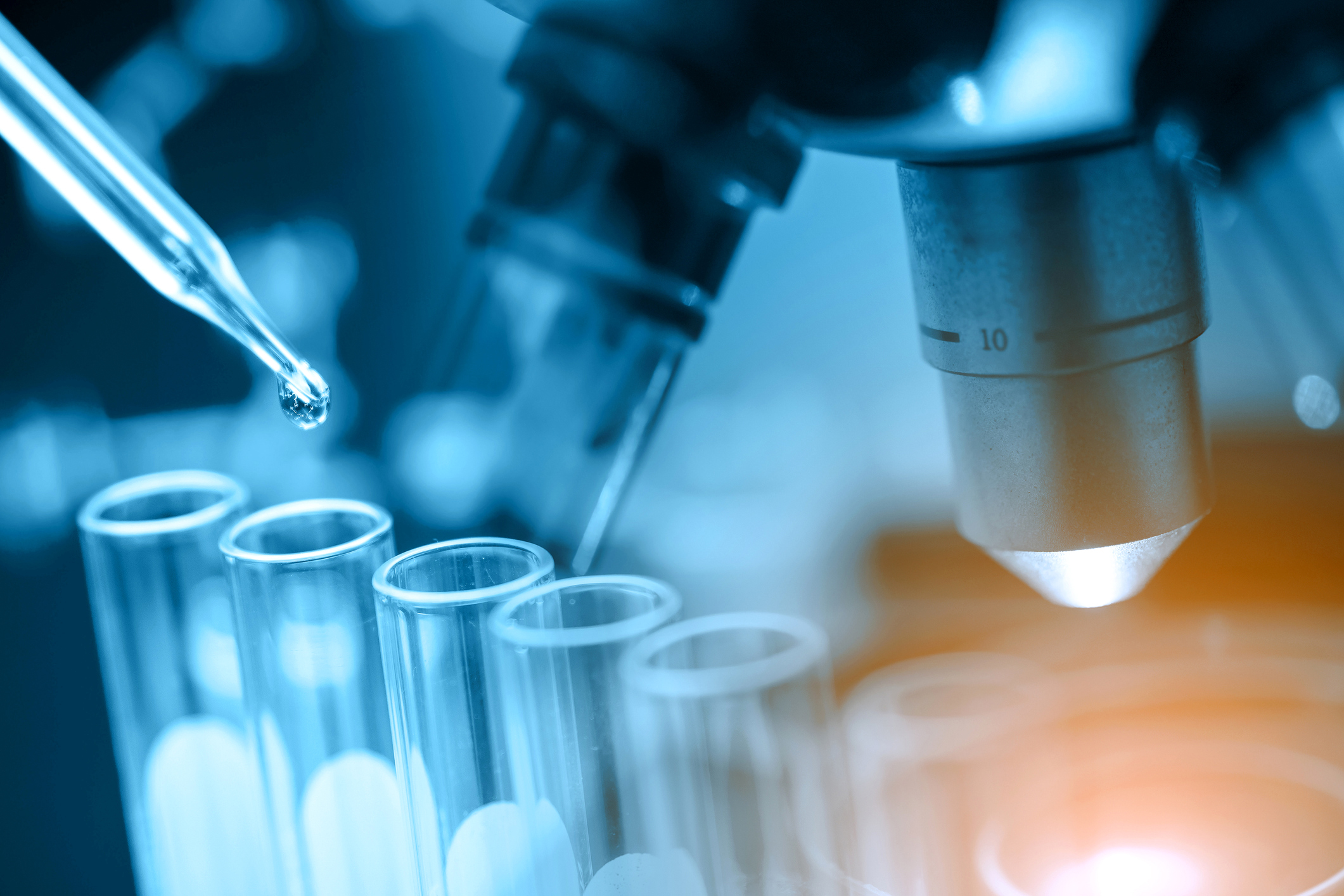 ‘Assault on science’ — SA researchers warn that US funding cuts hinder global medical advancement