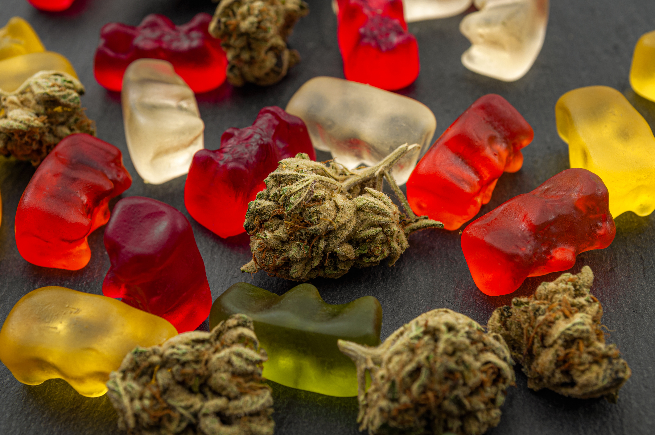 Loaded for Bear: SA’s cannabis policy remains shrouded in a purple haze of cadre confusion