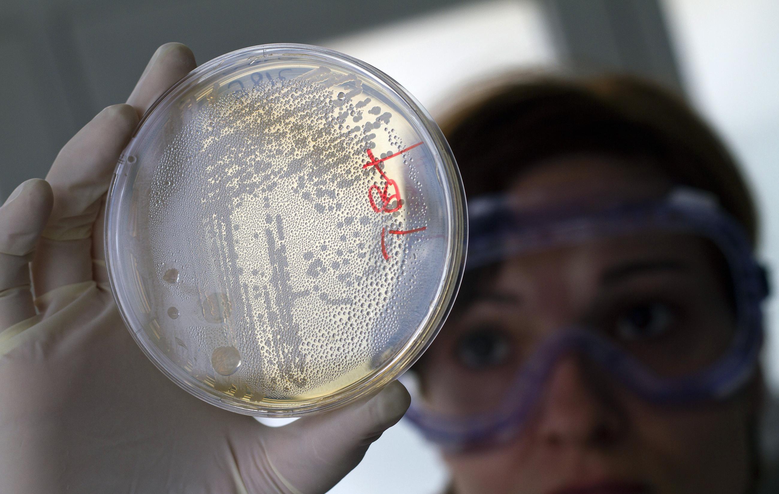 Mirror life — addressing a potential biothreat