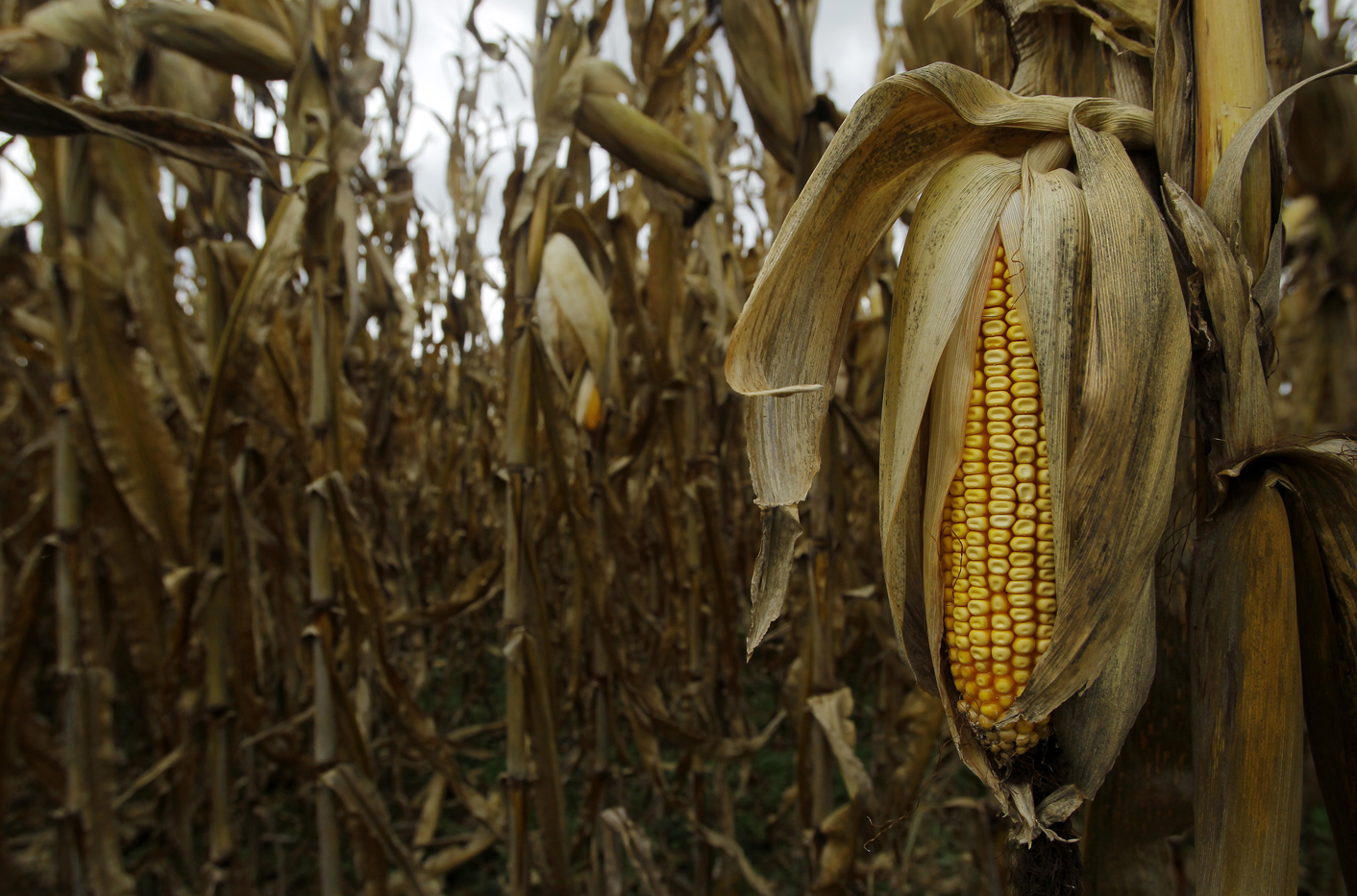 2012 was hottest year on record in USA, climate agency says