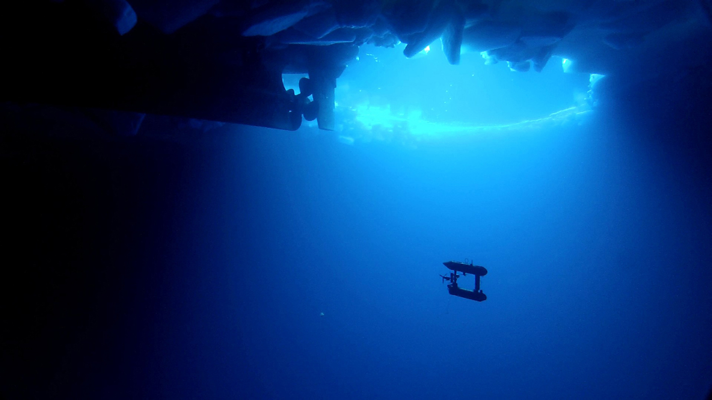 Antarctic bacteria a clue to different kinds of life, says study