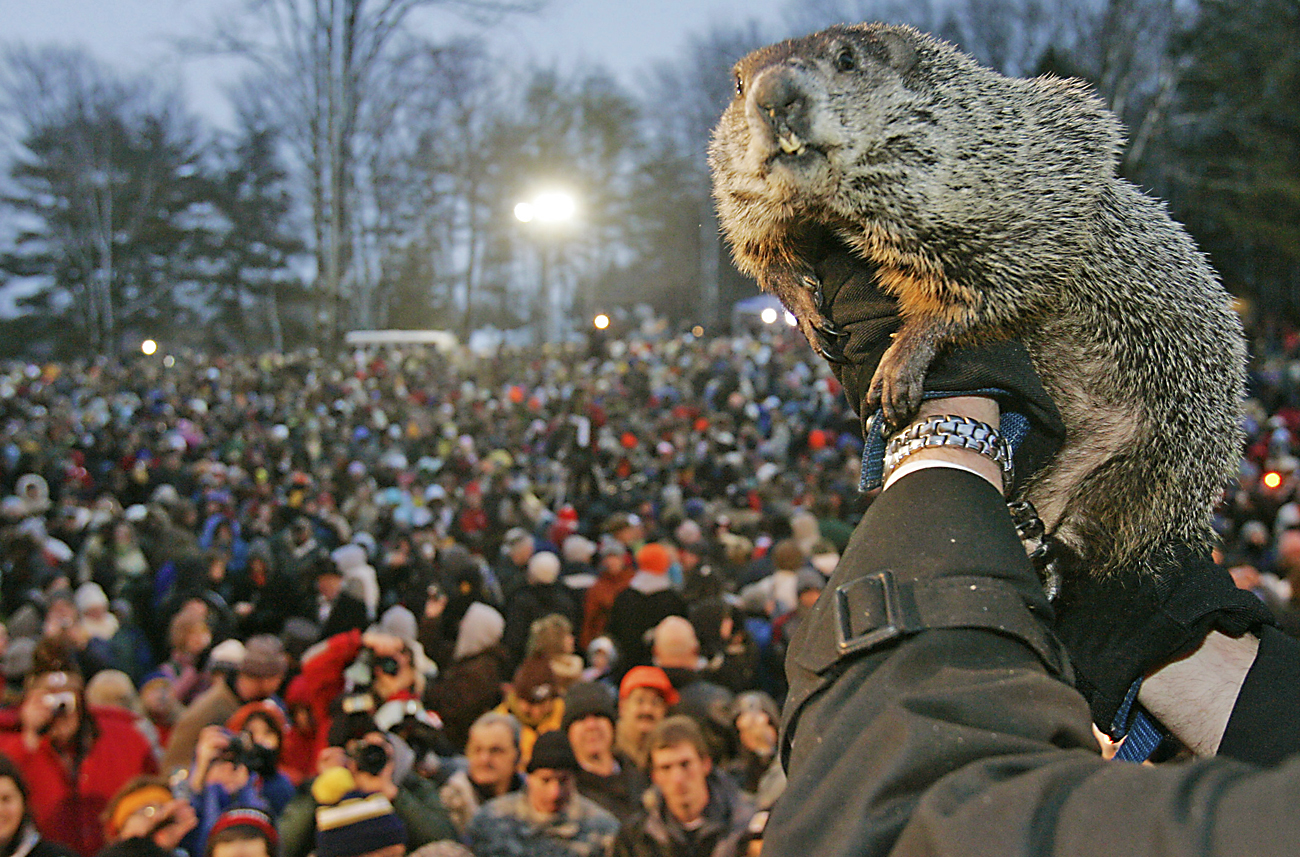 03 February: As spring sounds a tweet, groundhog takes to texting his predictions