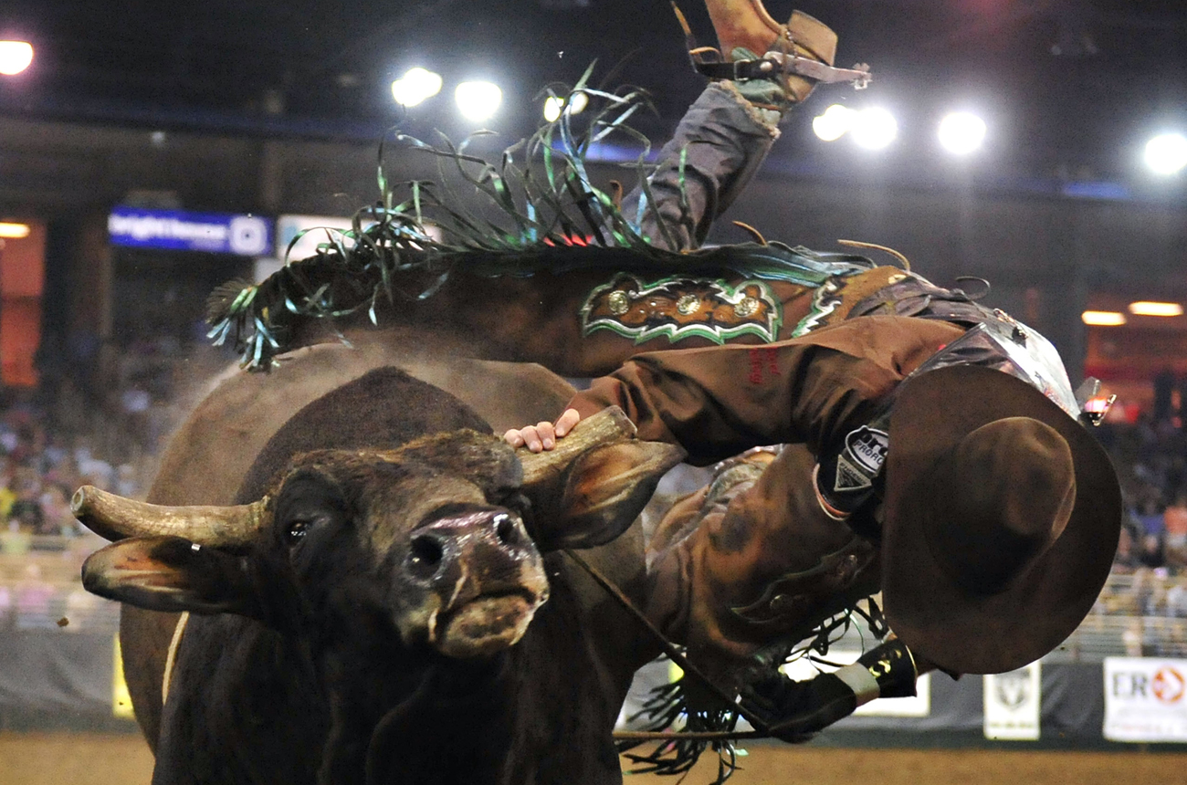 Reporter's notebook: Sanral's raging bronco vs Outa's angry rider