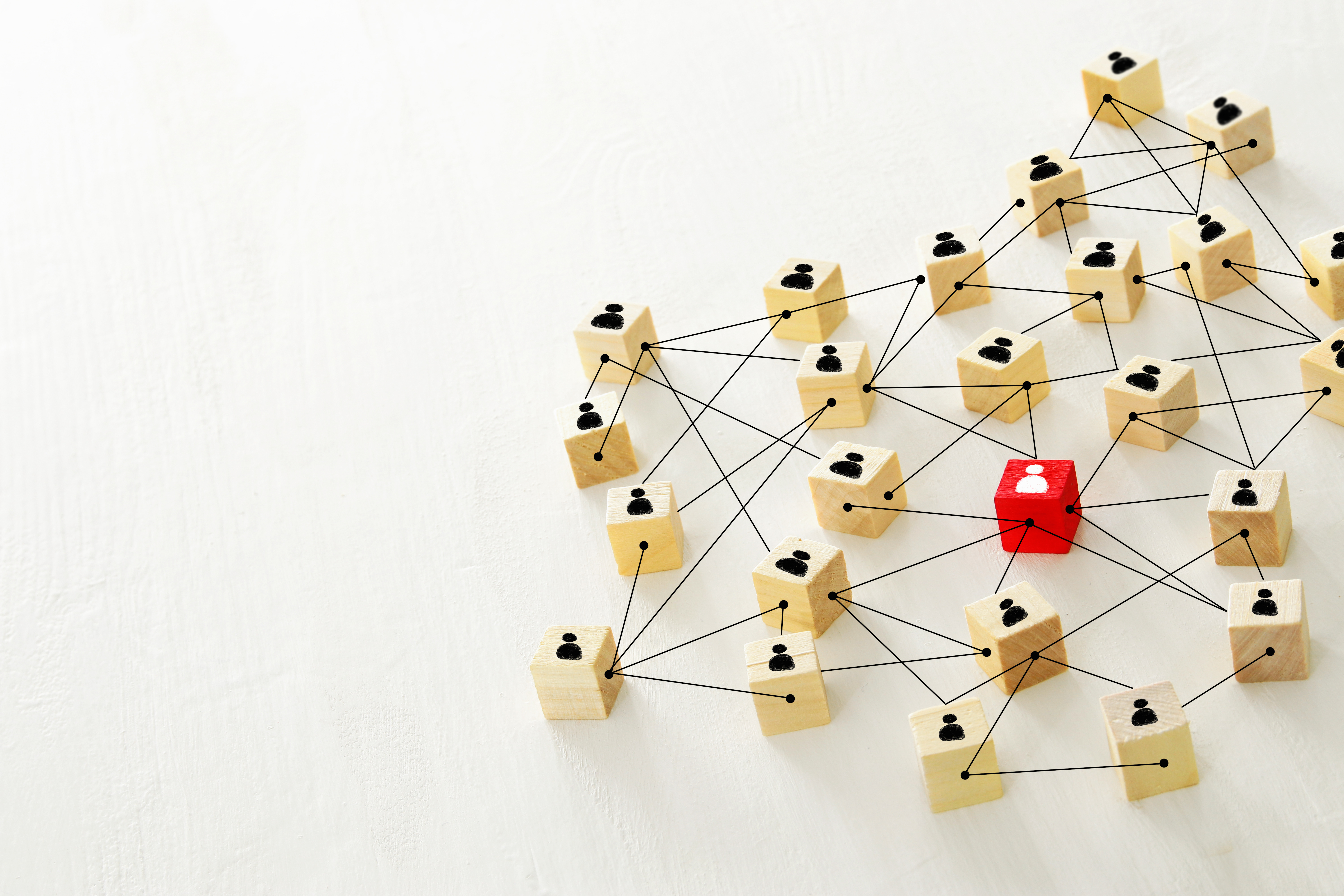 Relationships: The meaning of connections