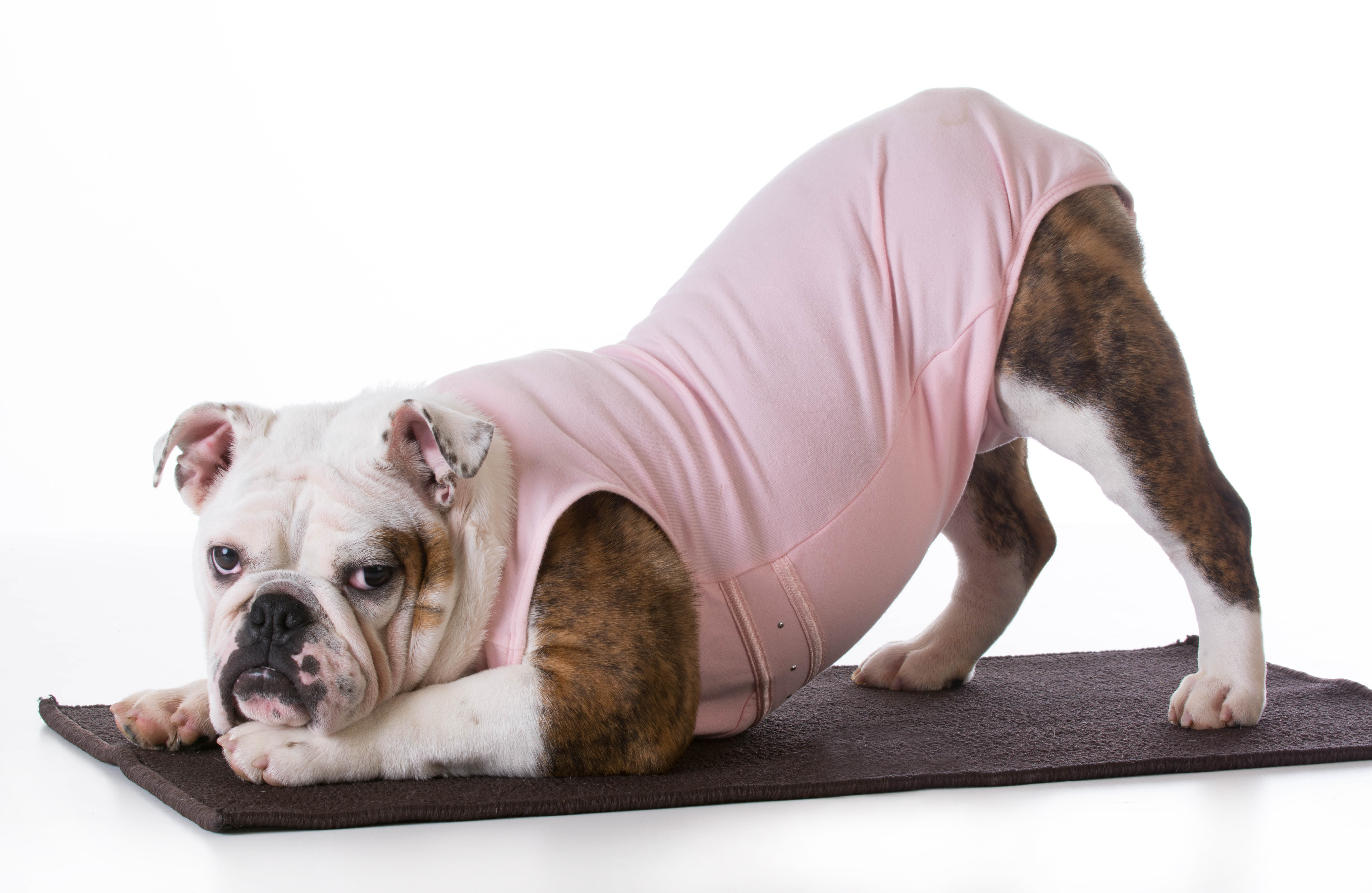 How to start exercising if you hate exercise