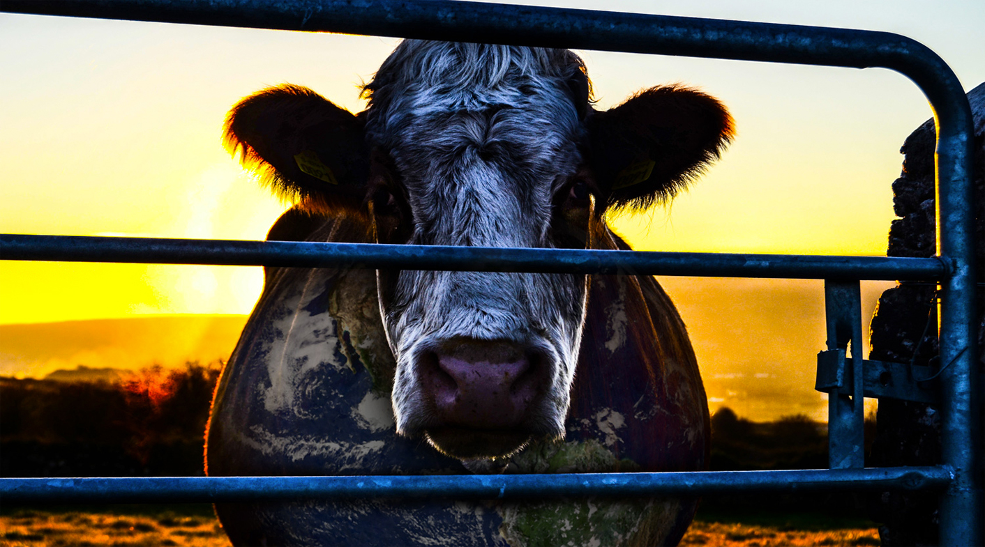 You Tarzan, me-thane: Exposing the most powerful source of greenhouse gas