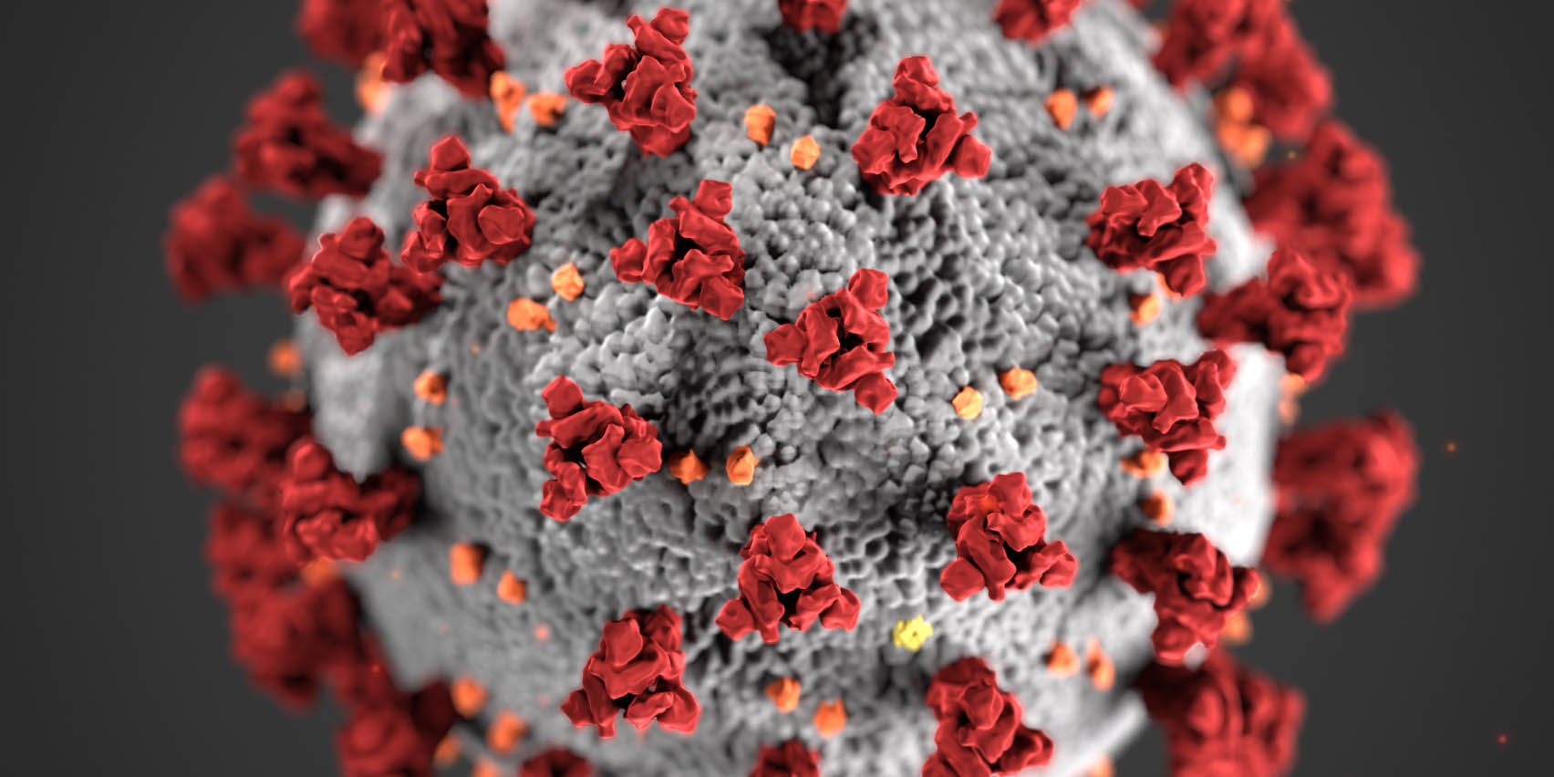 Cameroon, Togo confirm first cases of coronavirus