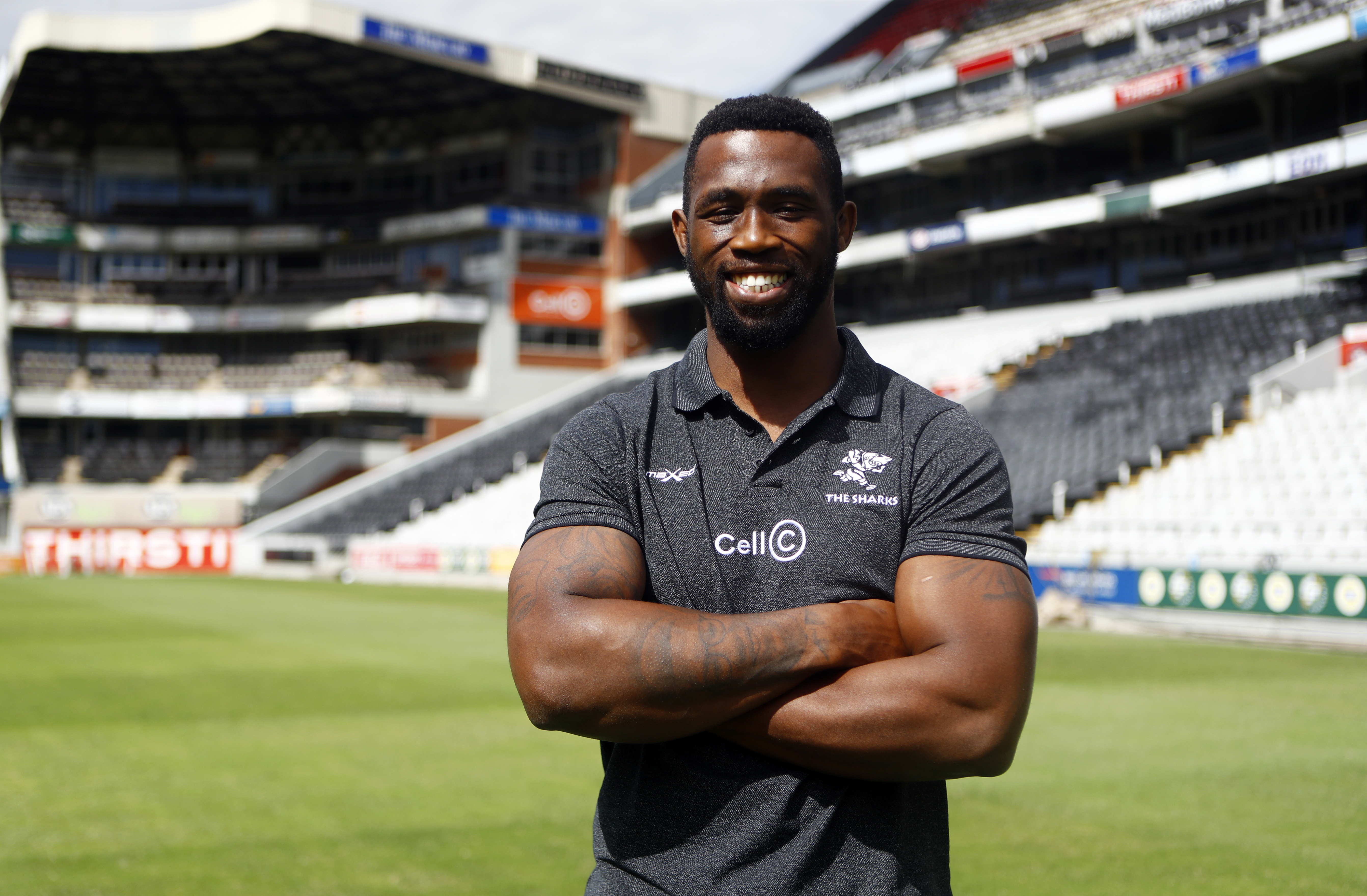 Kolisi set to Roc Sharks as he starts all over again