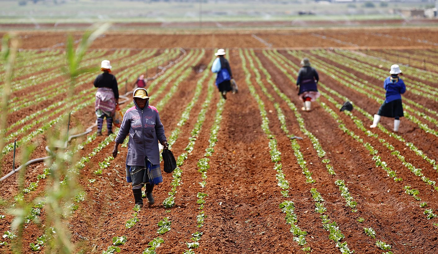 Association for Rural Advancement: Tenants should become neighbours