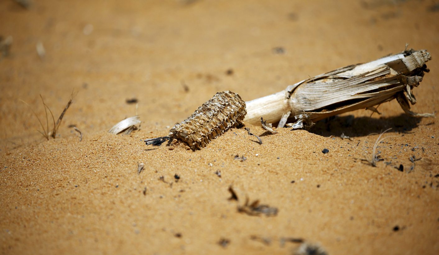 Analysis: The Politics of Great South African Drought