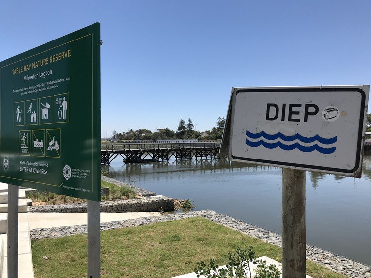 High levels of E. coli in water from Milnerton waste plant, say activists