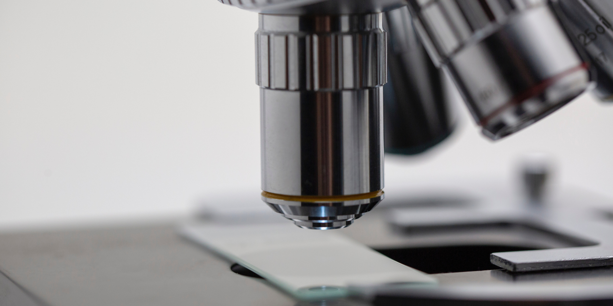 At 50, the SA Medical Research Council is helping redefine democracy