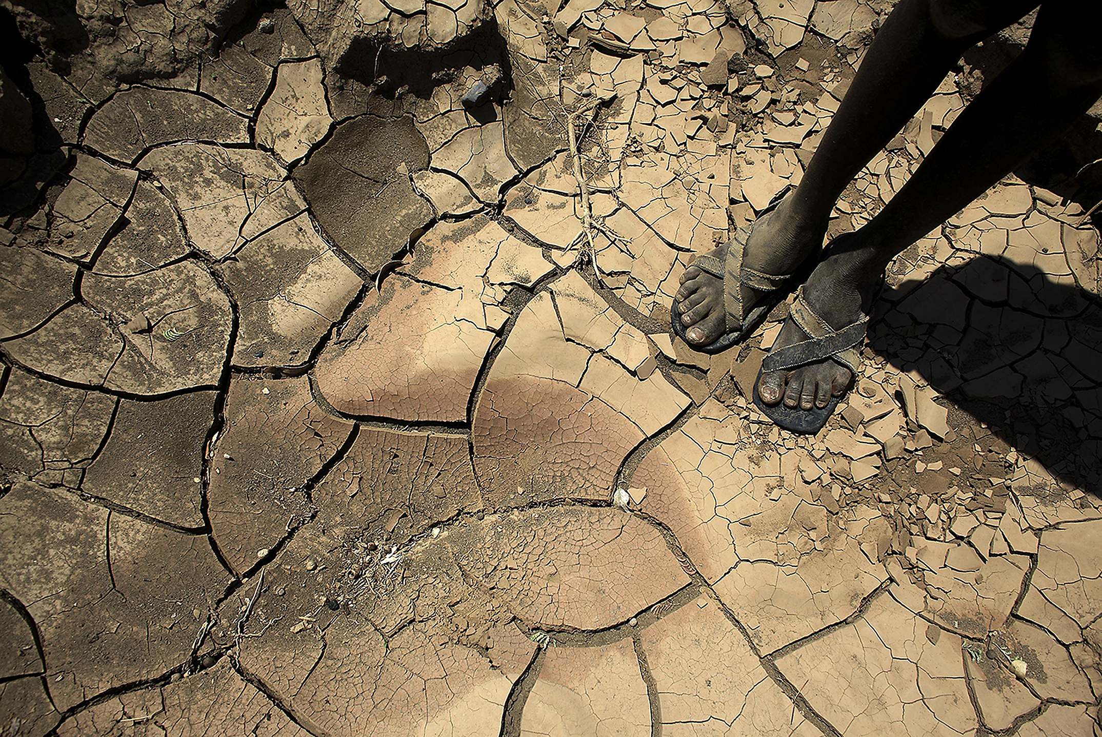 The climate crisis and violence in Africa: A deadly correlation fueling extremism and insecurity 