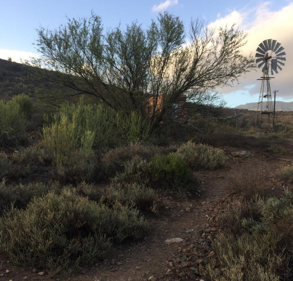 What Appeal Court’s fracking judgment means