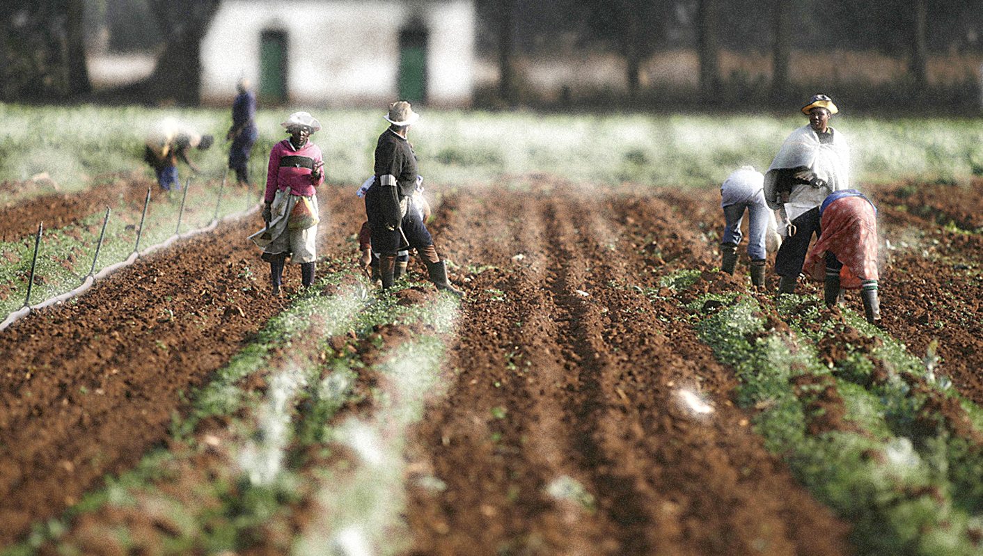 Health-e News: SA’s food chain, a noose around women’s necks