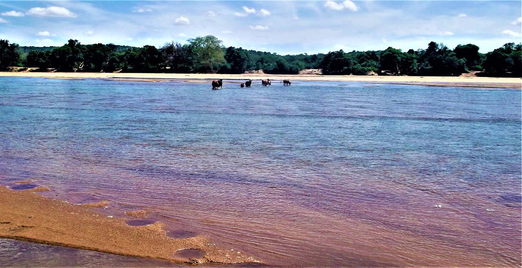 How a R10.7bn ‘zero waste’ megaproject was buried by Limpopo’s Chinese deal